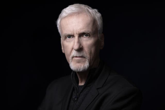 <p>James Cameron photographed in Paris in April 2024</p>