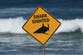 Here’s why shark attacks occur in rivers or estuaries – and six ways to stay safe