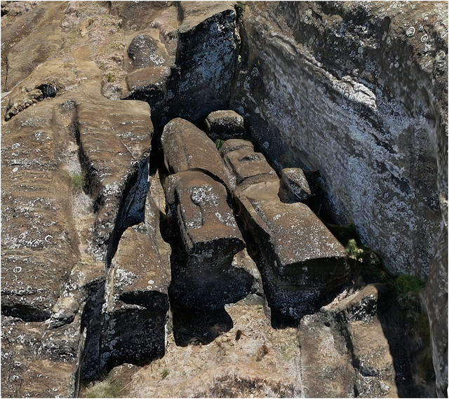 <p>Unfinished Moai attached to bedrock by 'keels' along their backs</p>