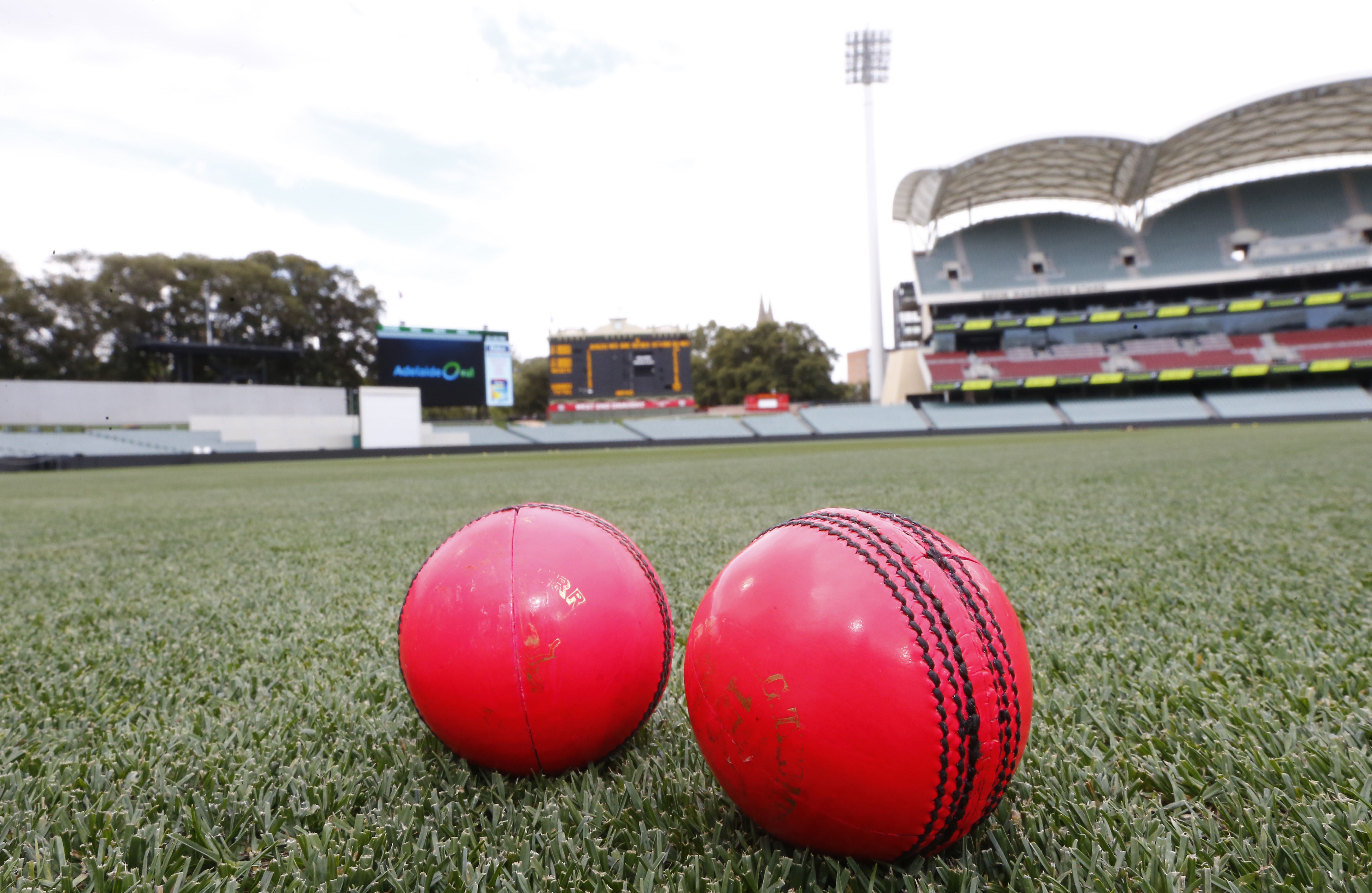 The pink ball is a further factor at play in the day-night Test