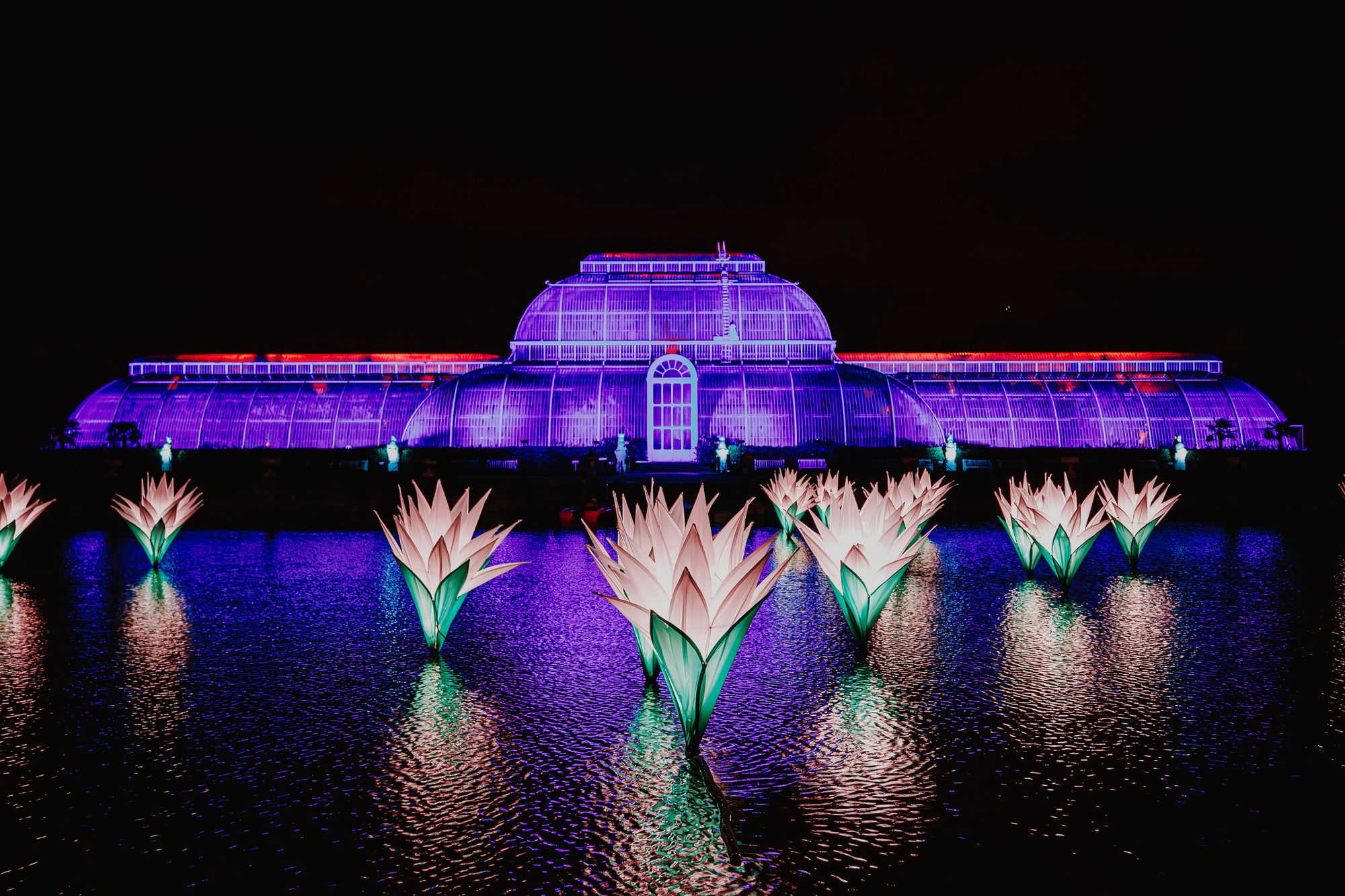 Experience Kew Gardens after dark during its festive light trail