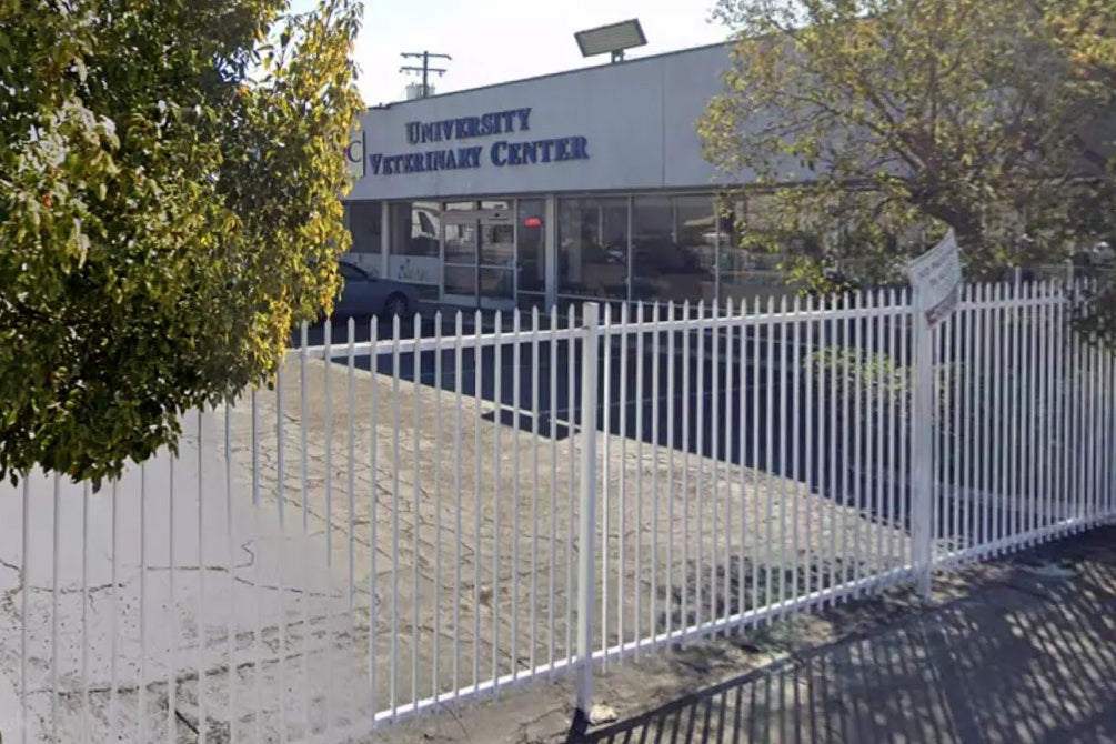 The incident happened at a veterinary clinic in Anaheim, Orange County (file photo)