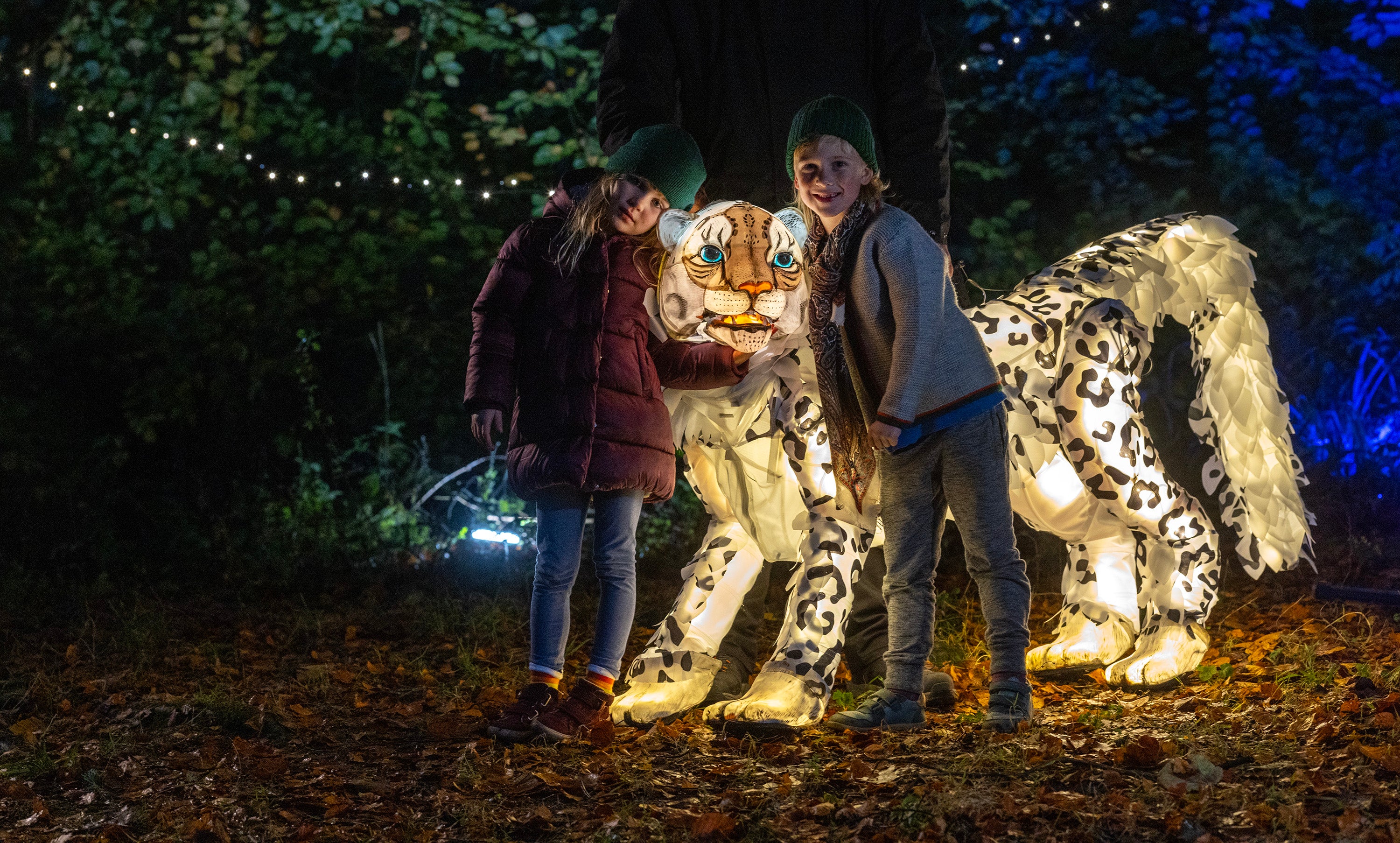See animals illuminated at Chester Zoo