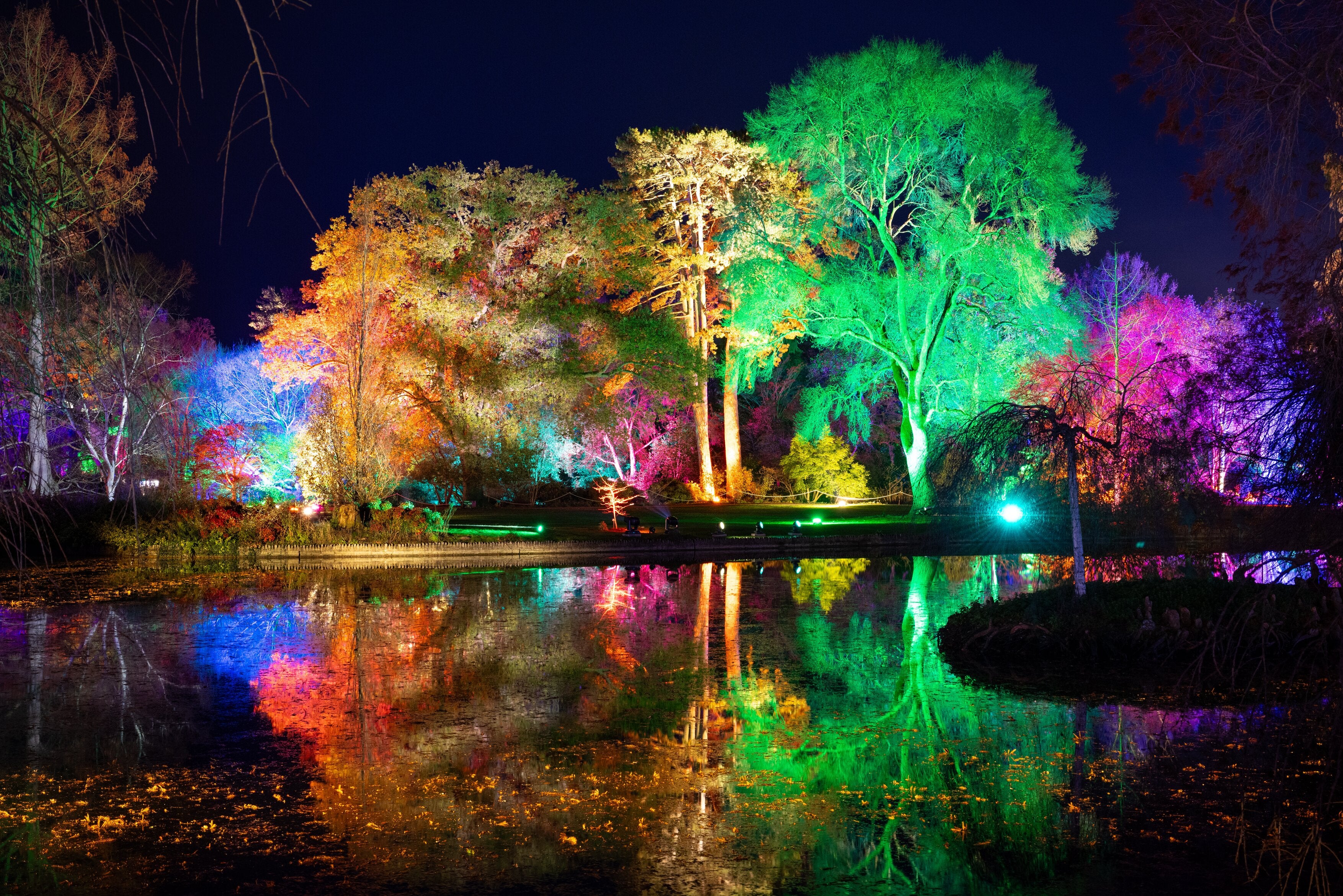 Head to one of RHS’ five gardens for a winter spectacular