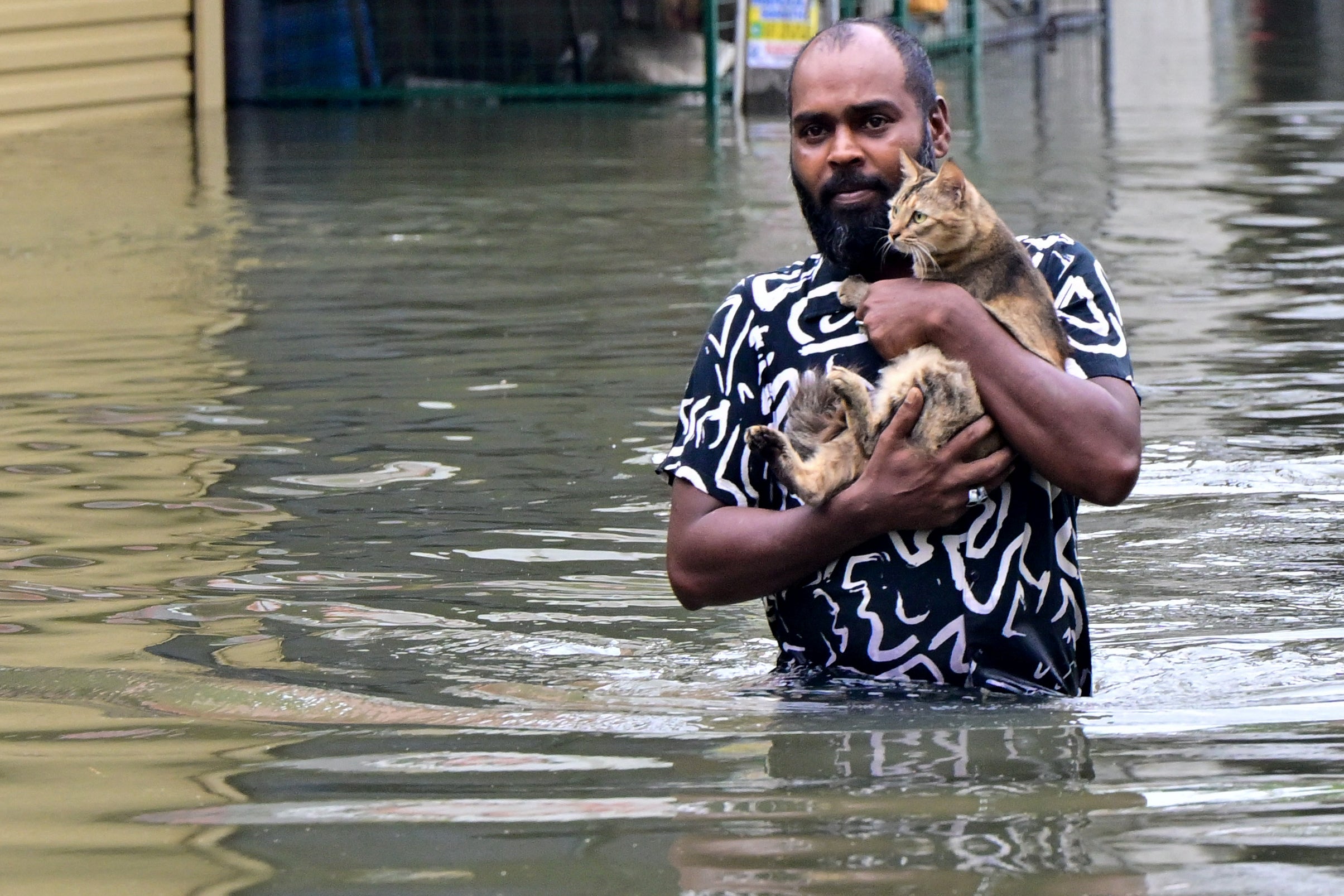 A man carries his cat across a flooded road in Wellampitiya on the outskirts of Colombo on November 29, 2025