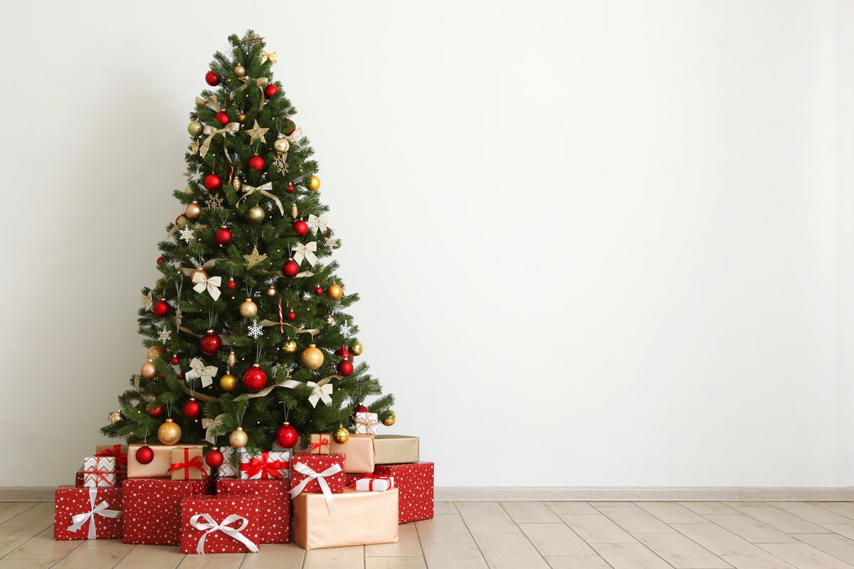 Expert reveals how to keep your Christmas tree fresh all through December