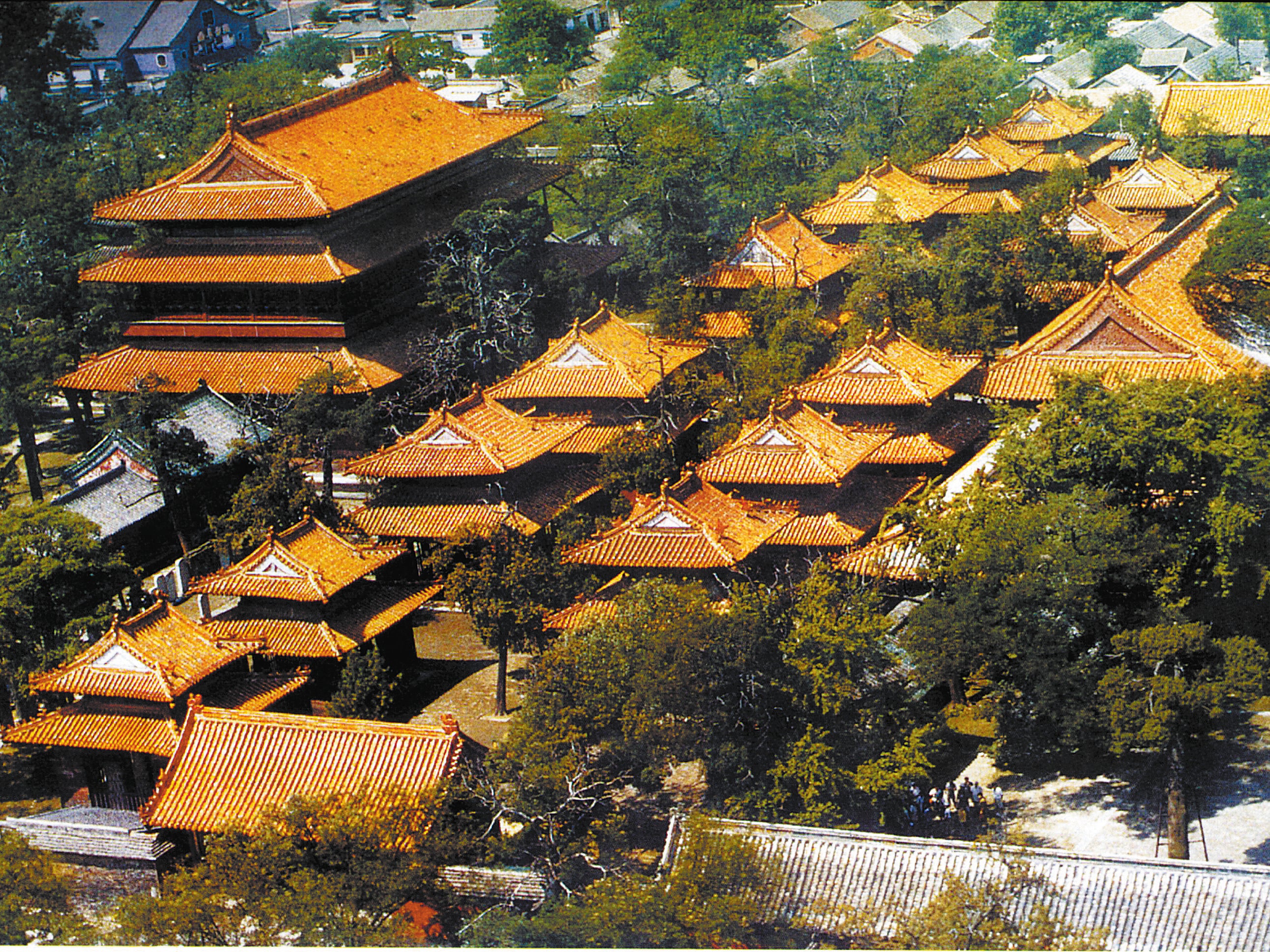 <p>A tree cluster at the Temple of Confucius in Qufu, Shandong province</p>
