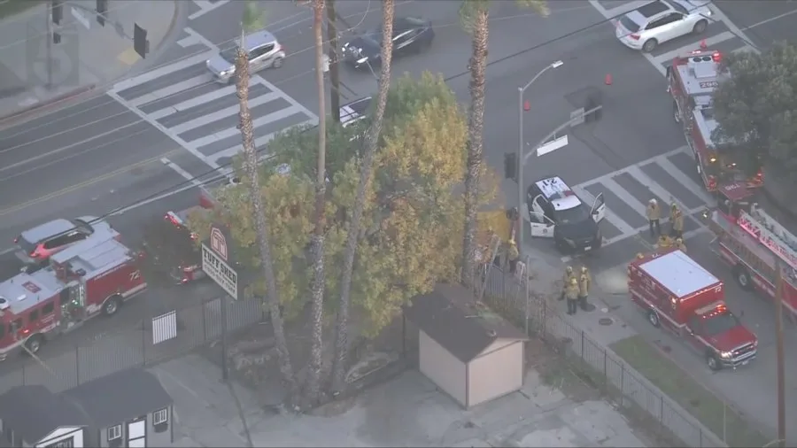 A tree-trimmer was impaled after falling onto a fence in LA