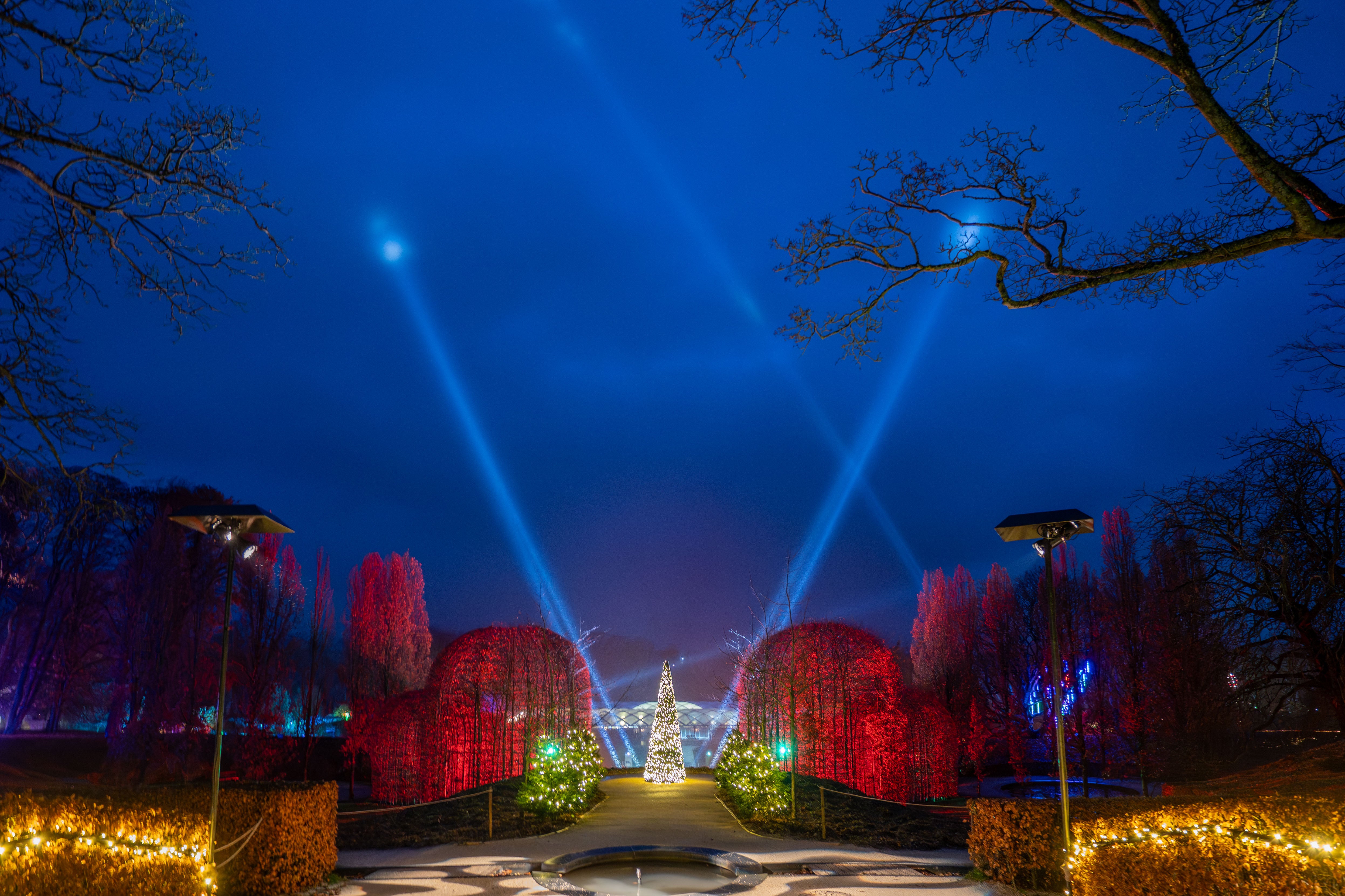 Be amazed by the light trail at Alnwick Garden