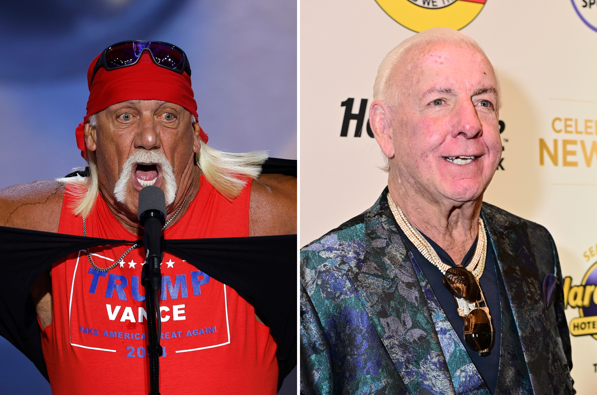 Ric Flair (right) made the shocking claim that fellow WWE legend Hulk Hogan (left) died from 'street drugs'