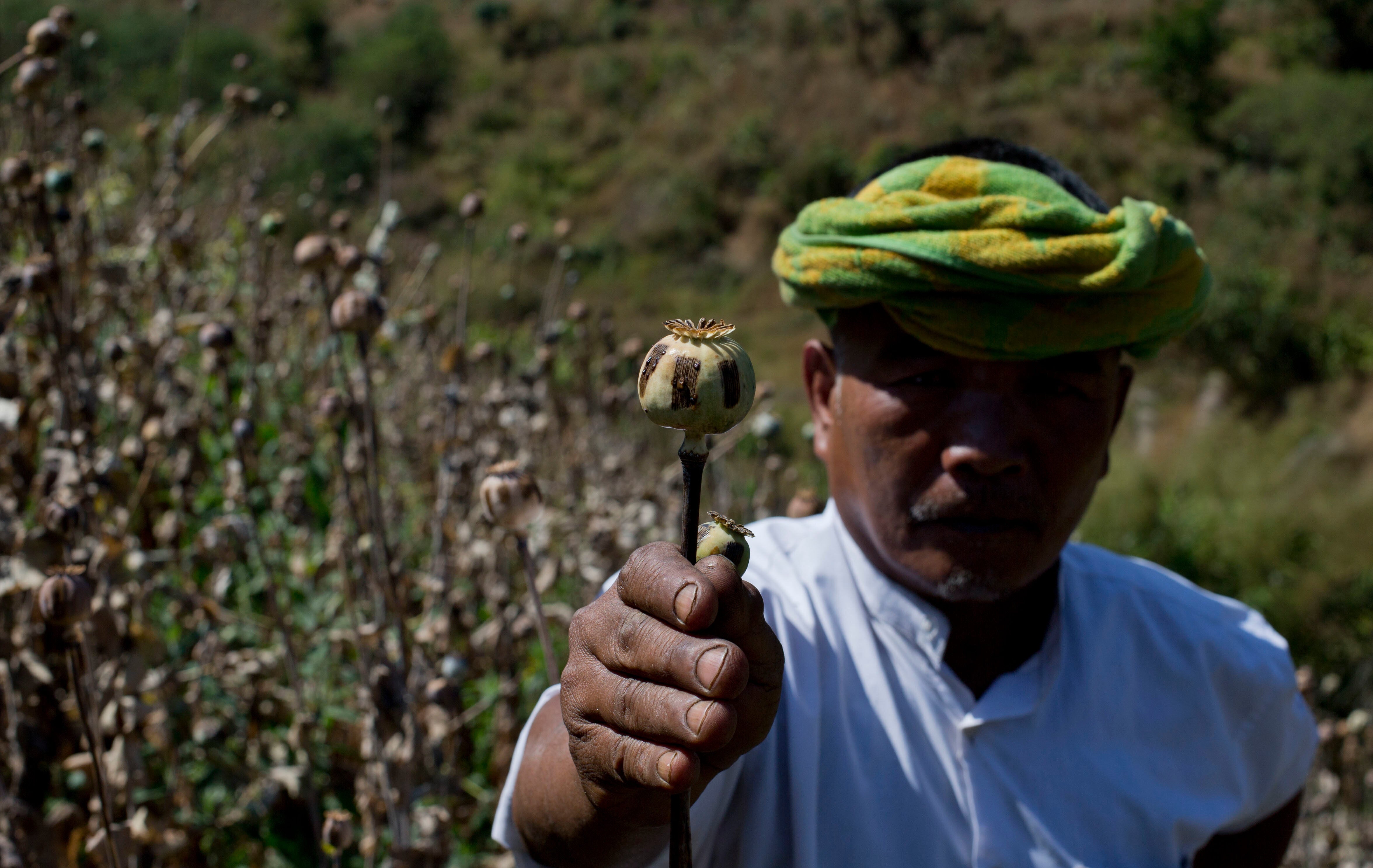 Myanmar Opium