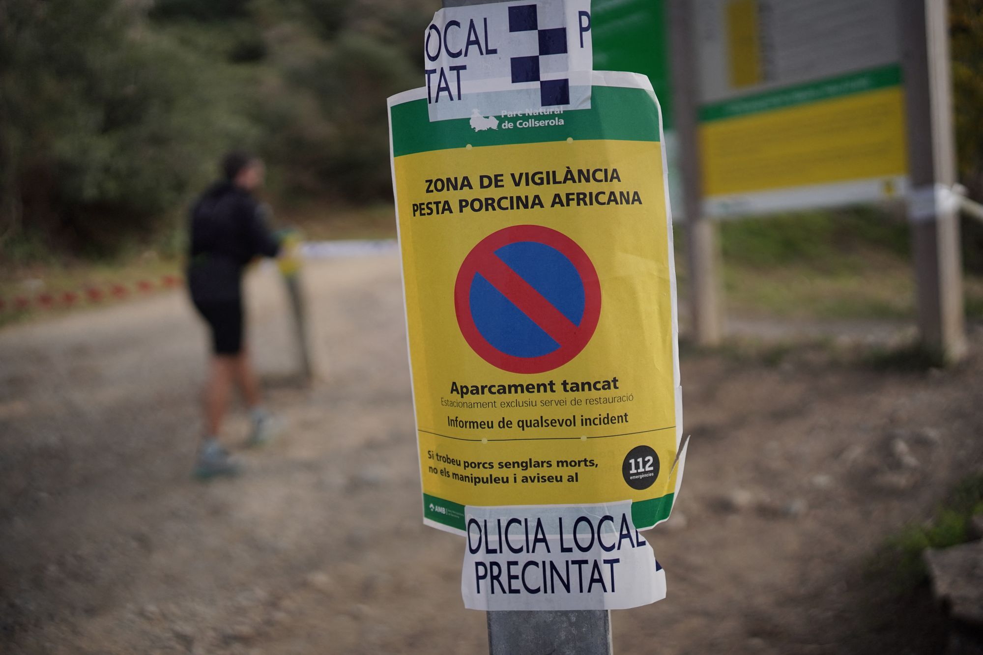 Local police warning sign reading "African Swine Fever Surveillance Zone" posted on a pole at the entrance of the Collserola natural park, near Barcelona