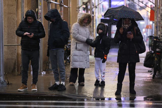 <p>This berry is packed with antioxidants and vitamin C that work to keep you healthy</p>