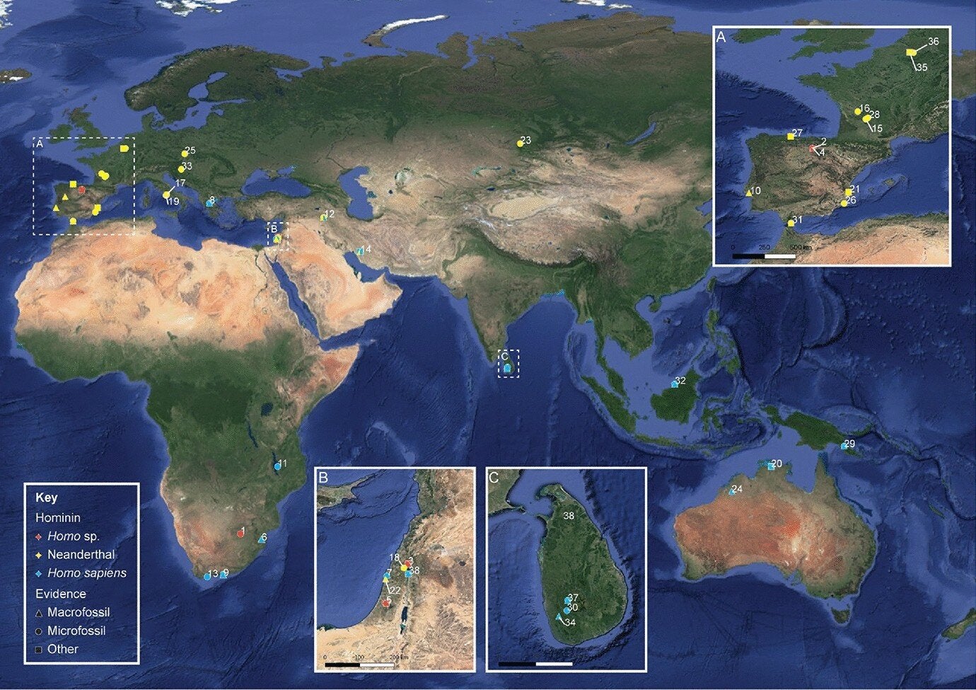 Archaeological sites that show direct evidence of early processed plant food use