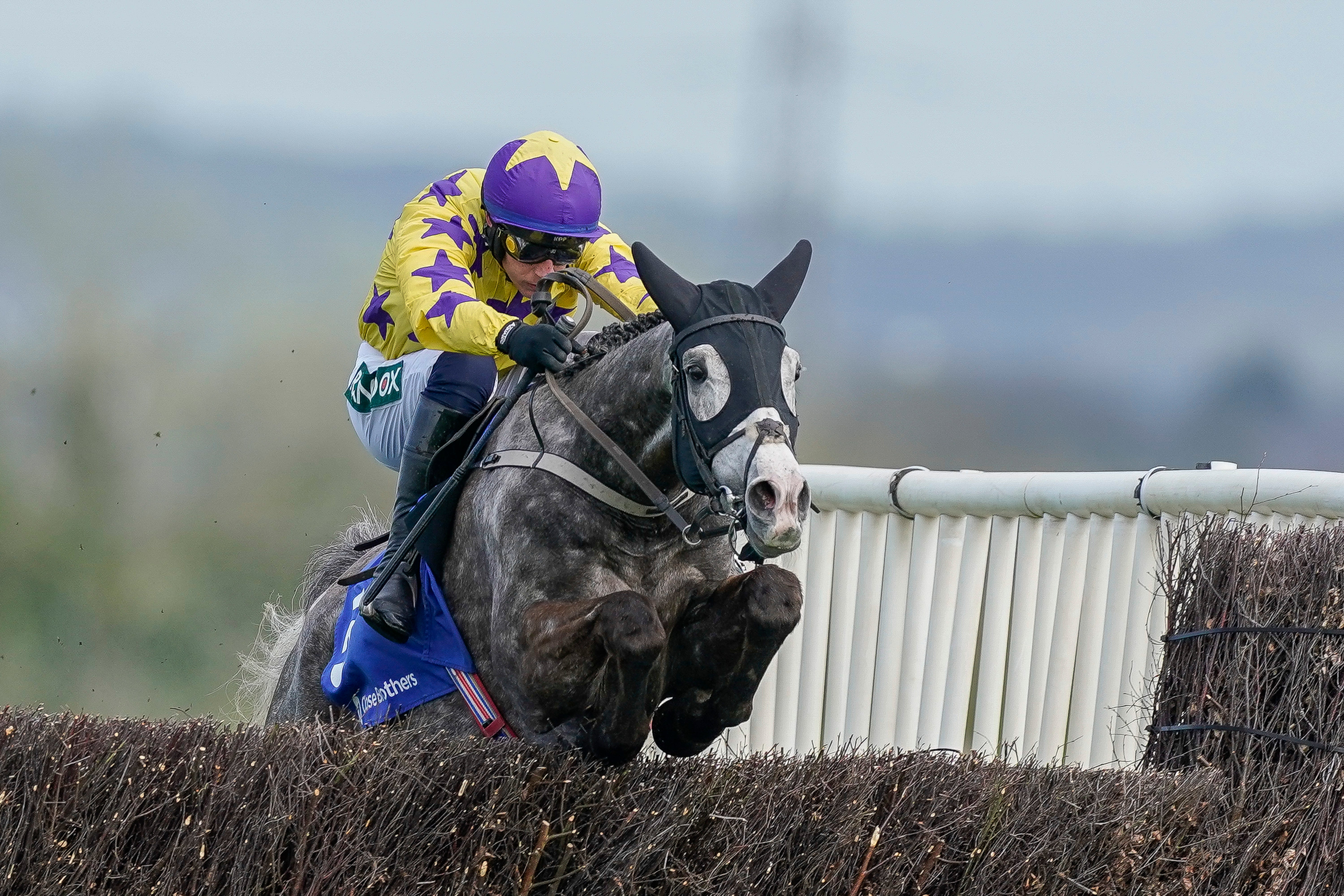 <p>Il Etait Tempsis fancied for the Tingle Creek Chase at Sandown</p>
