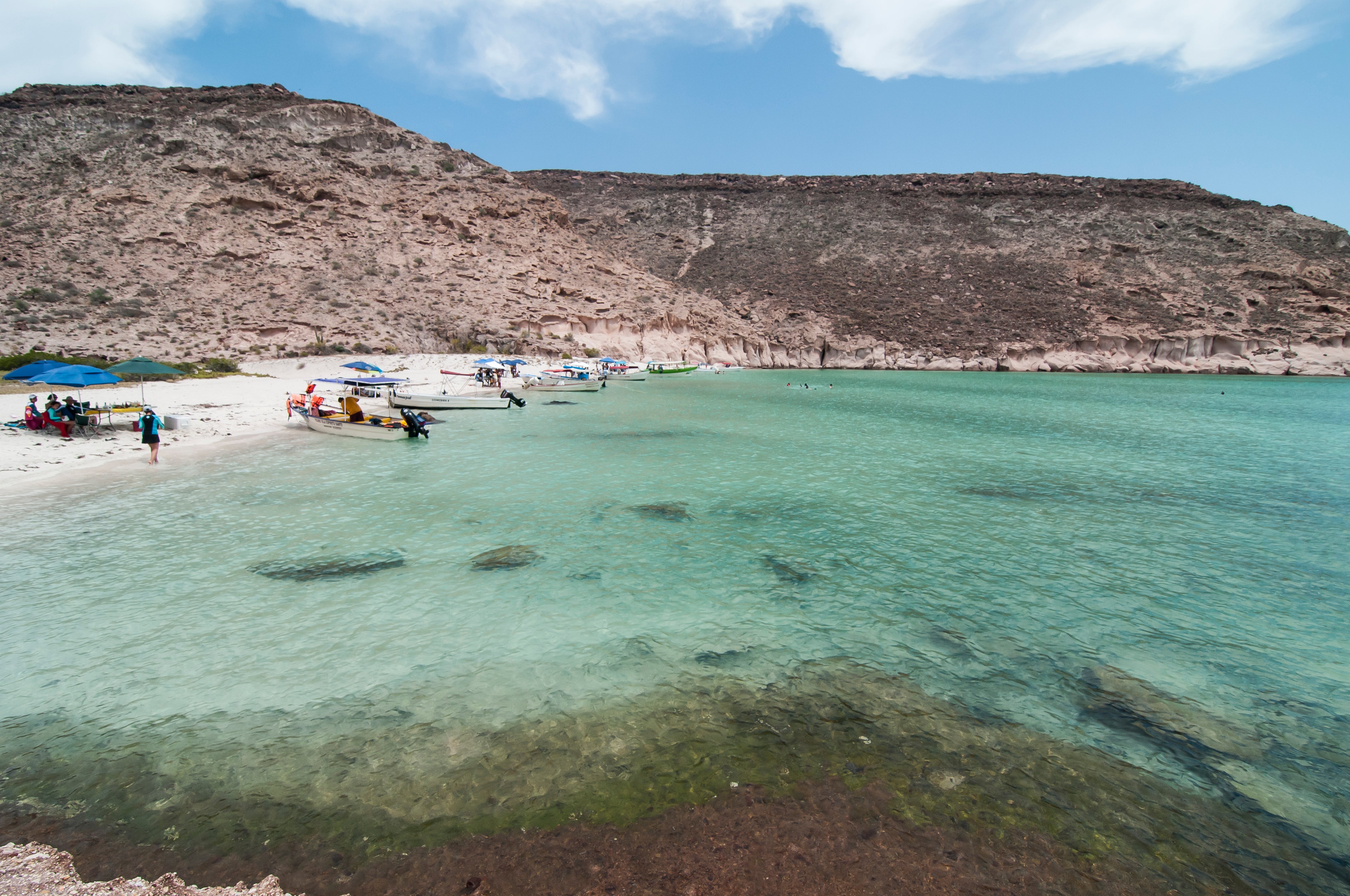 No visit to La Paz is complete without a trip to see the sea lions at Isla Espiritu