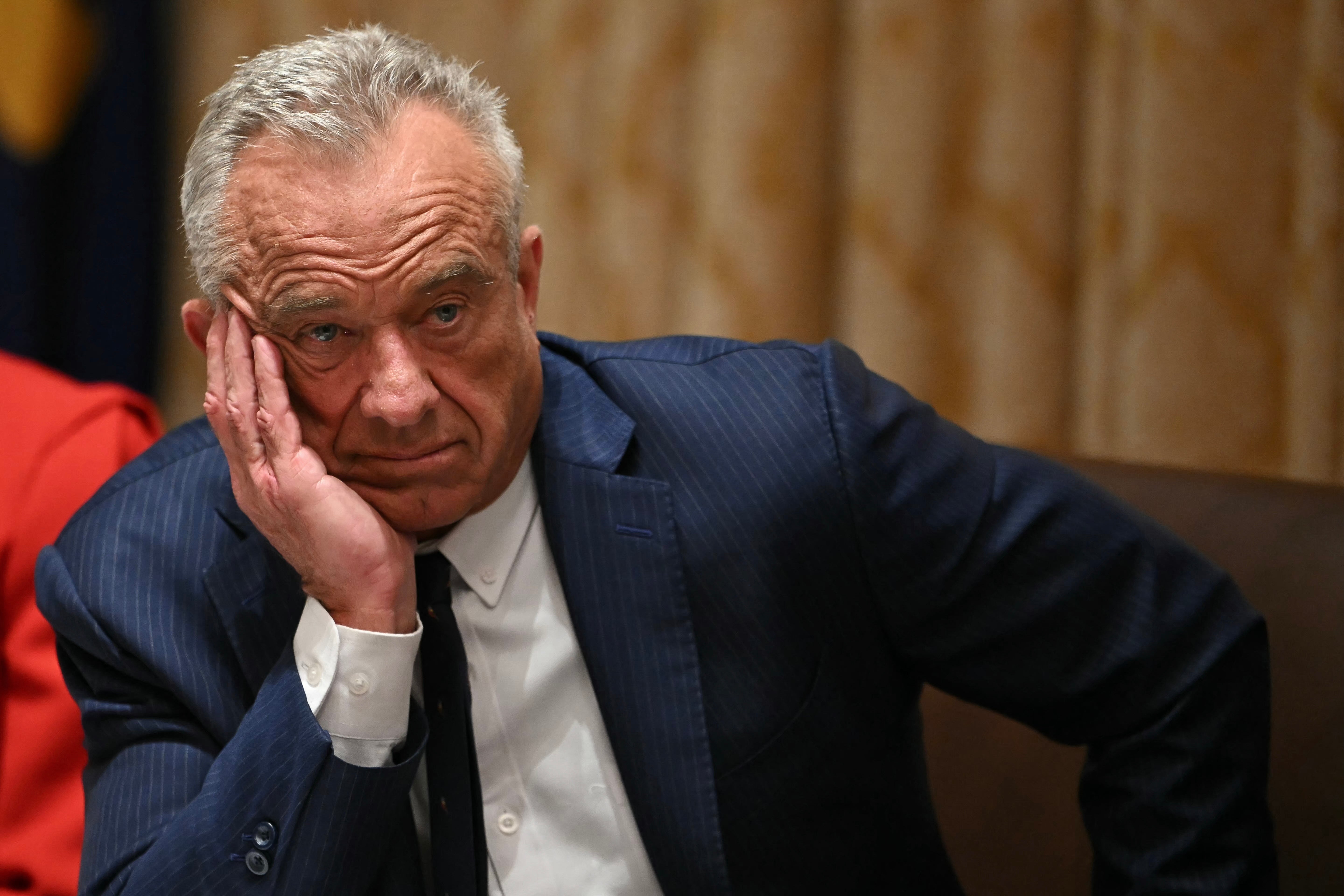 U.S. Health Secretary RFK Jr. was allegedly involved in a 'digital affair' with Nuzzi during his 2024 presidential campaign