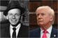 Frank Sinatra ‘loathed’ Trump, legendary singer’s daughter Nancy tells MAGA supporter