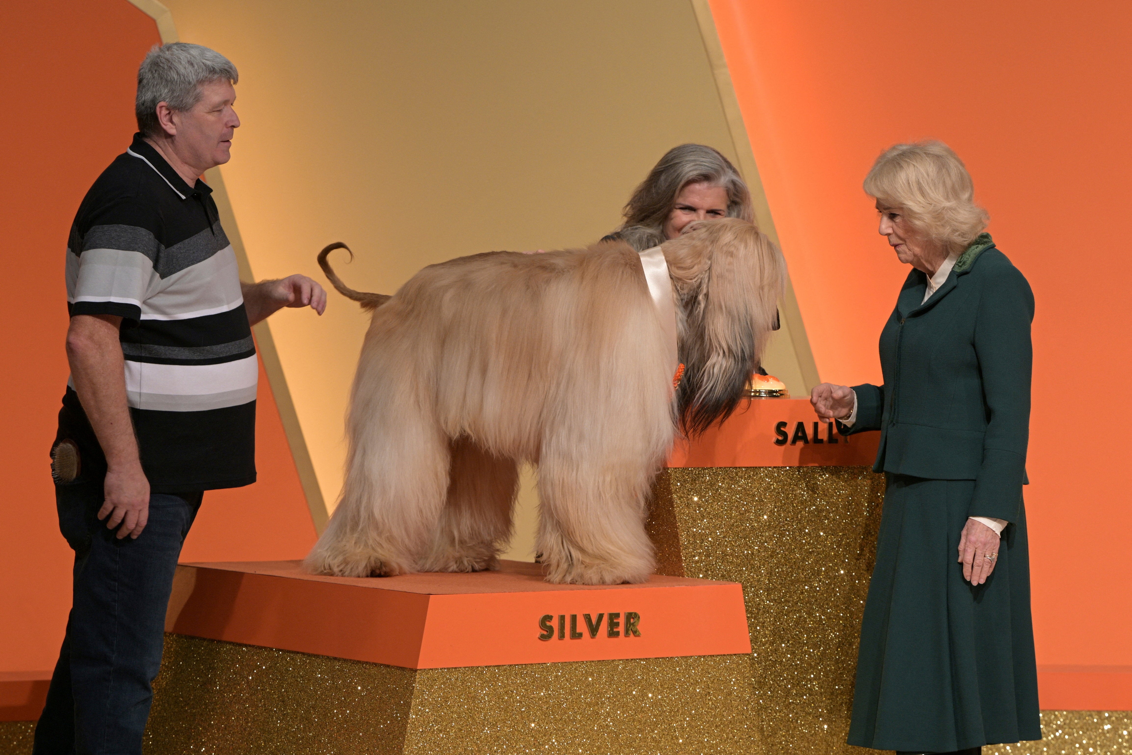 The Queen meets a dog on the set of 'Rivals'