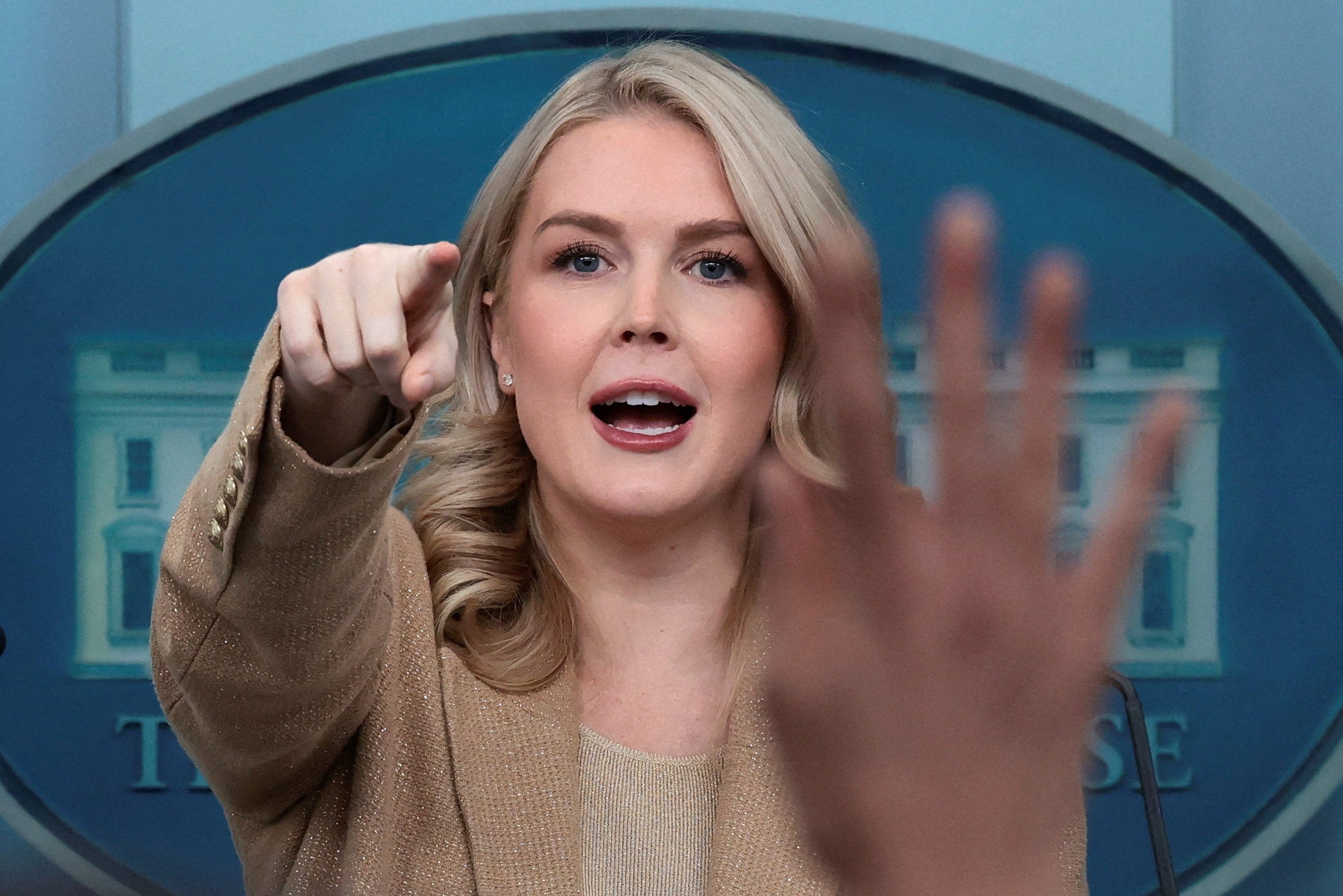 Ferreira is the mother of White House press secretary Karoline Leavitt’s nephew. After her arrest, the Trump administration labeled her a ‘criminal illegal alien’