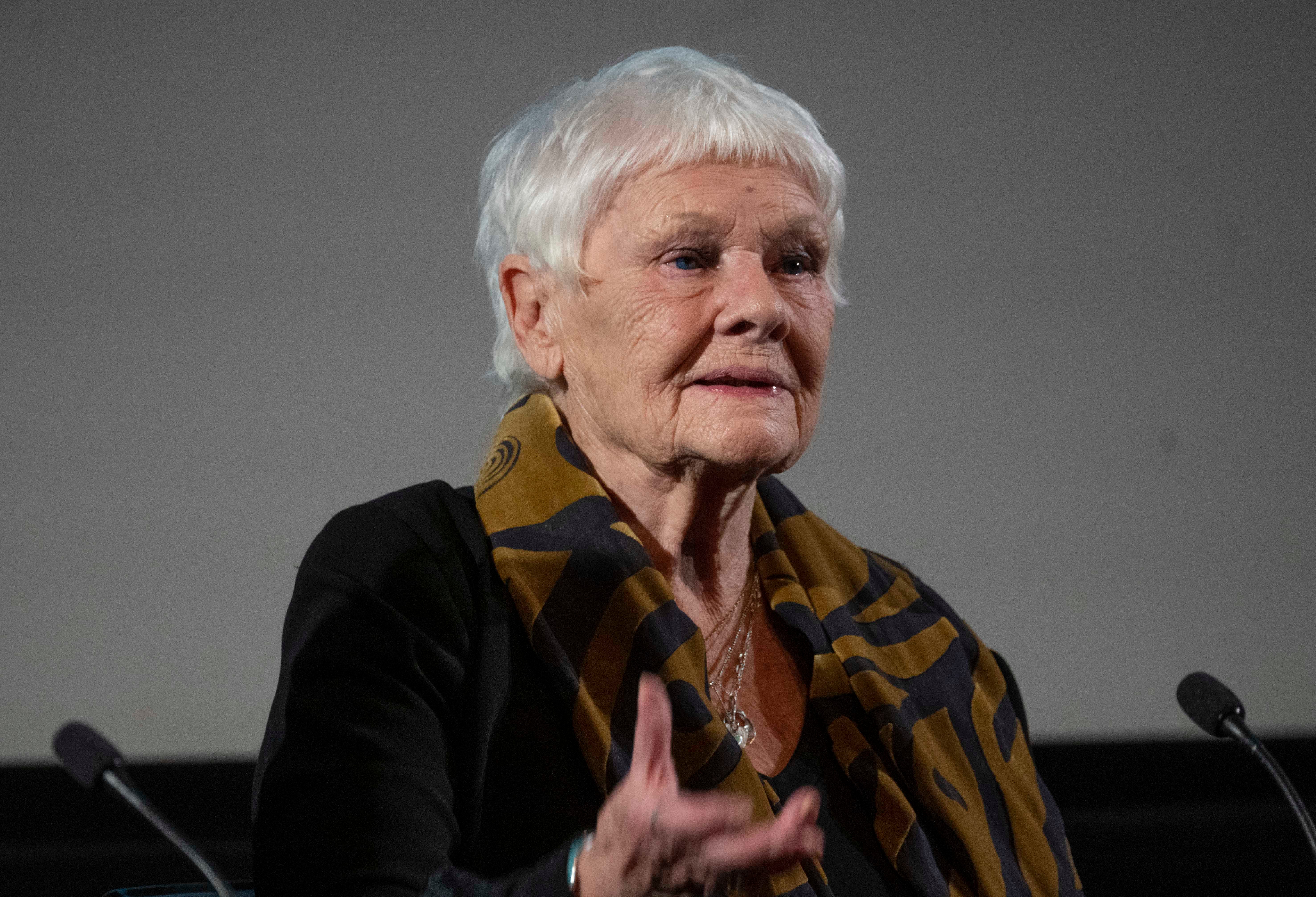 In Tea With Judi Dench , the veteran actress chats about her life and career with fellow actor Sir Kenneth.