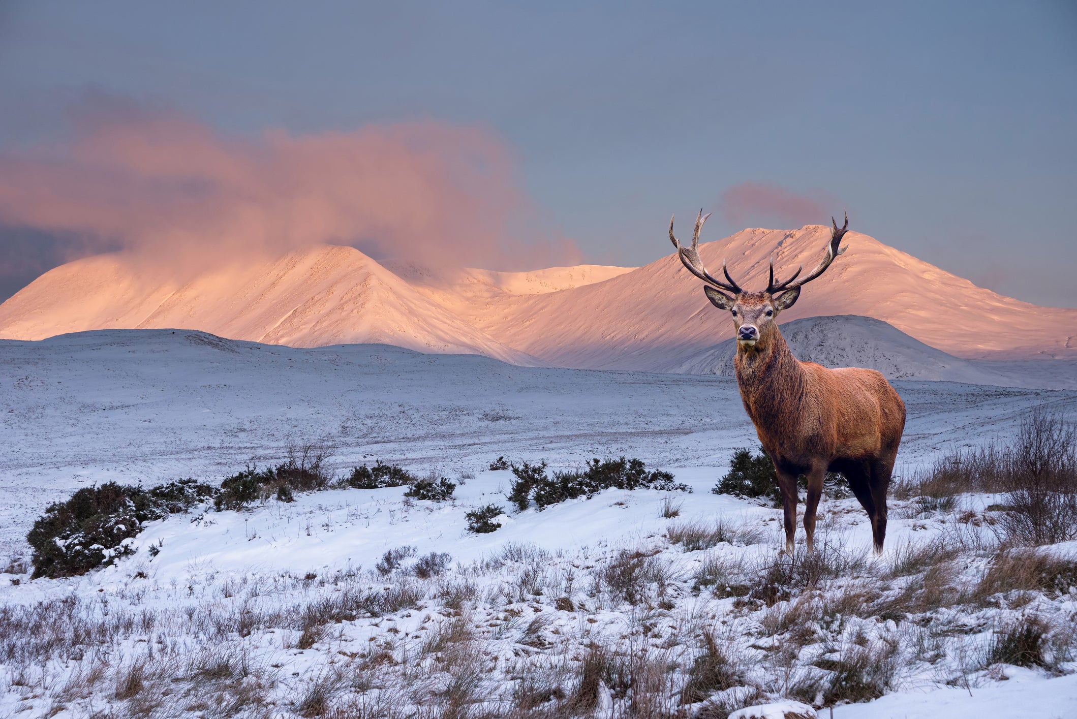 The Scottish Highlands has struggled with the effects of overtourism