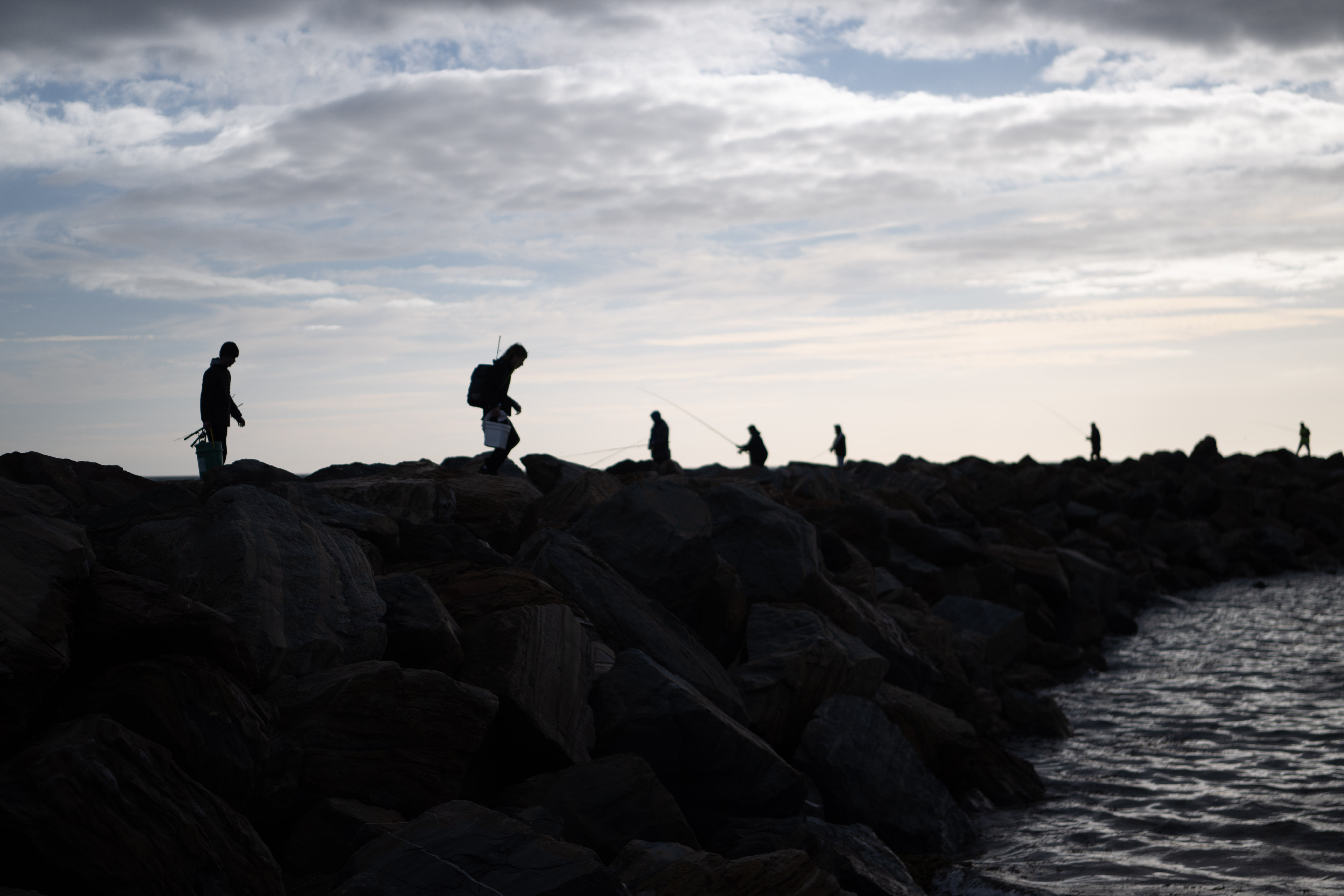 <p>The destruction by colonial dredge fisheries has left the  coastlines more vulnerable to events like this algal bloom</p>