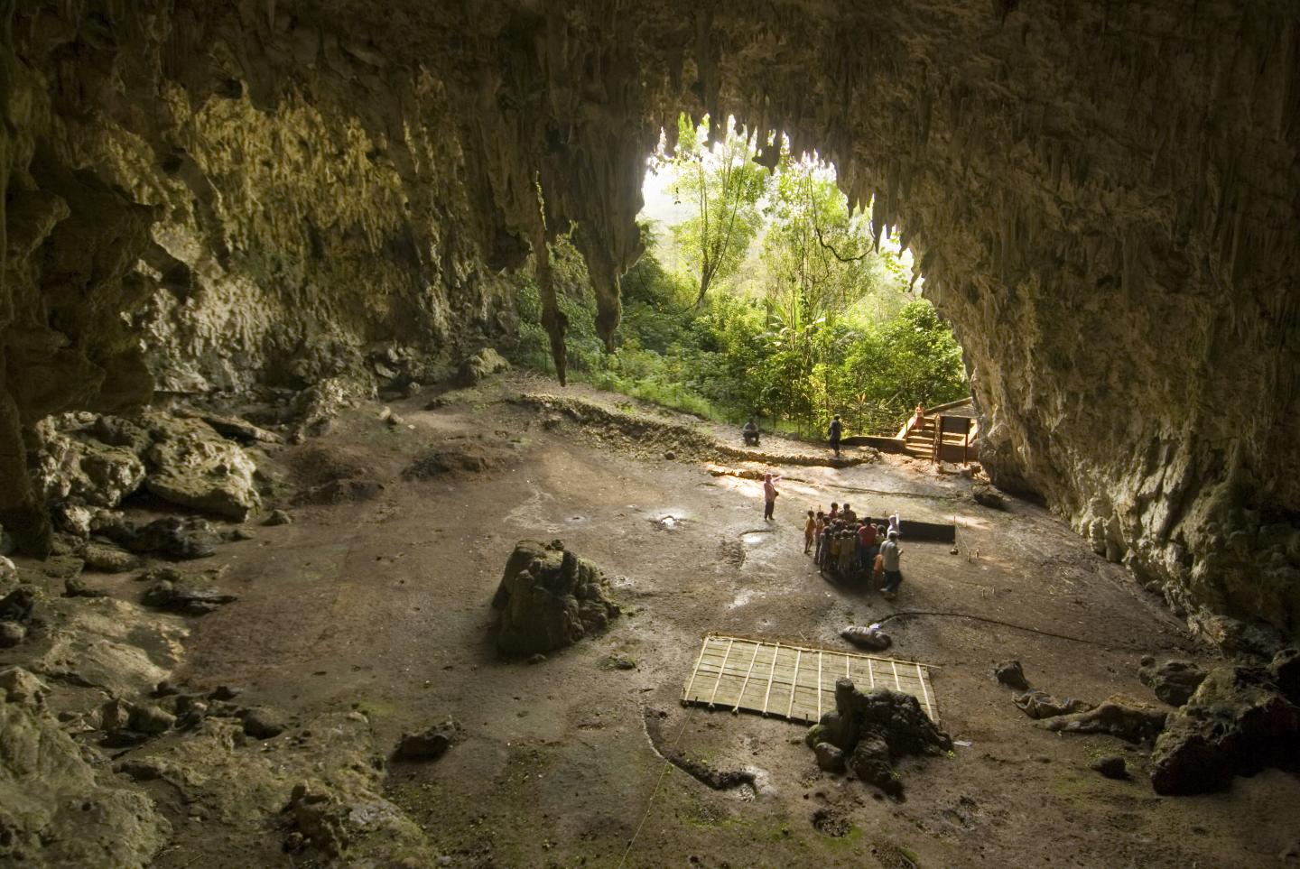 Liang Bua limestone cave on the Indonesian island of Flores