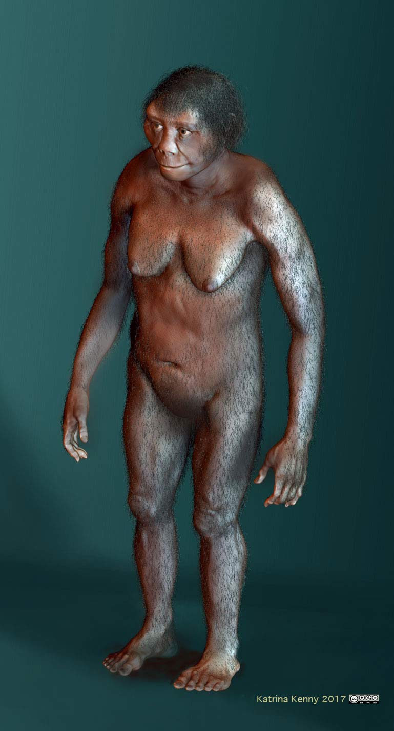 Artistic creation of Homo floresiensis