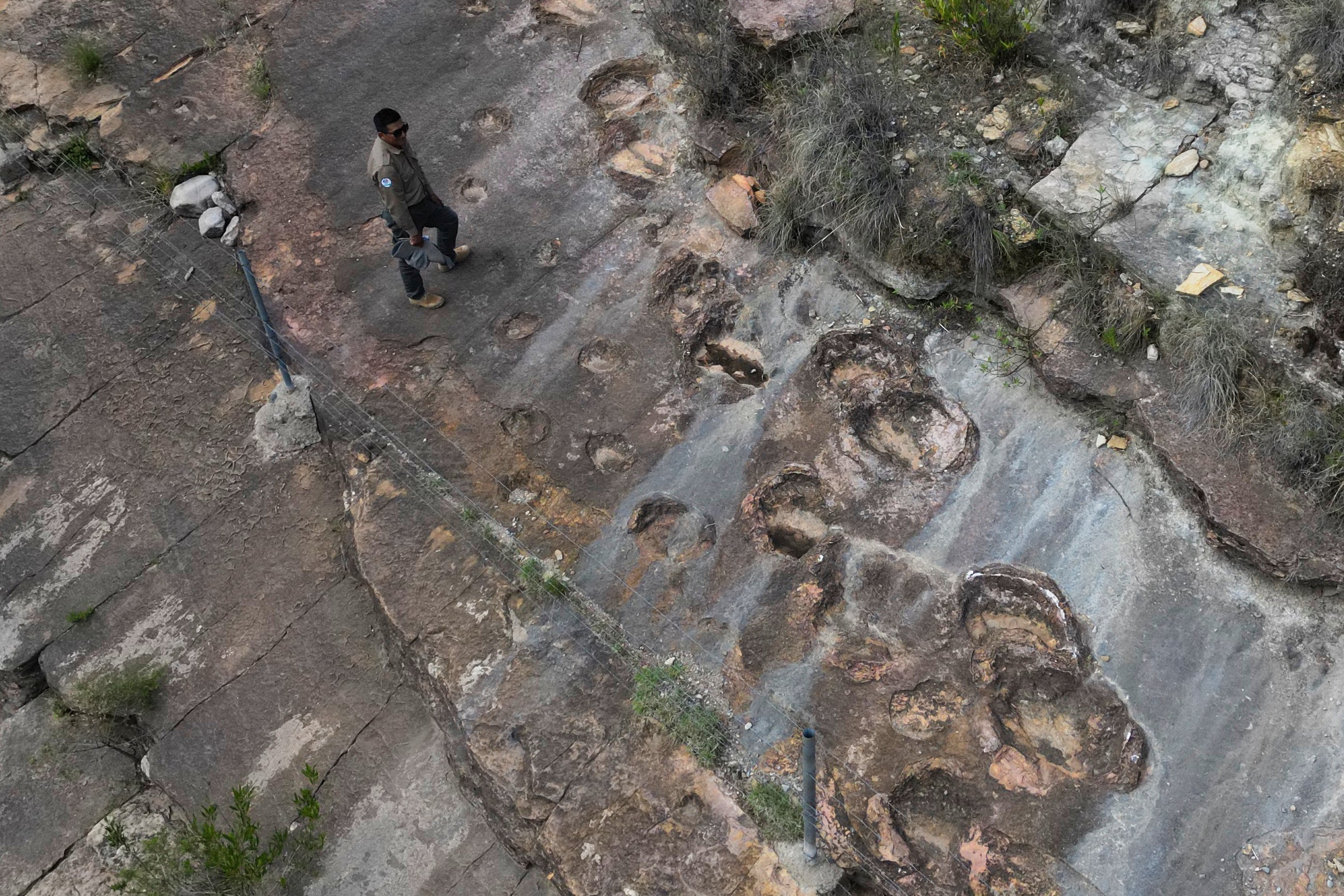 Park ranger José Vallejos stands next to petrified dinosaurs footprints in Carreras Pampa in Toro Toro National Park