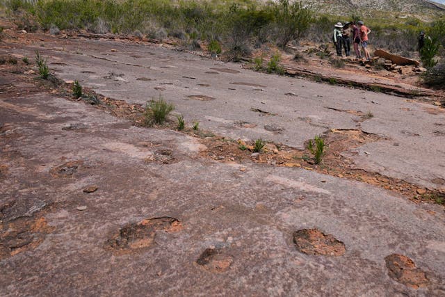 <p>Tourists look at the petrified footprints of dinosaurs at Carreras Pampa in Toro Toro National Park, north of Potosi, Bolivia</p>