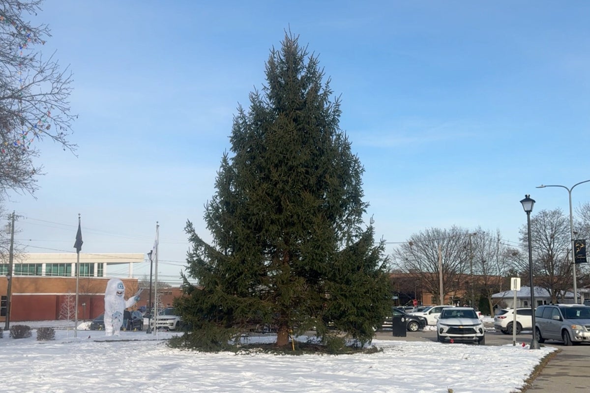 Detroit suburb finds a real Christmas tree — instead of a fake one from China — just in time