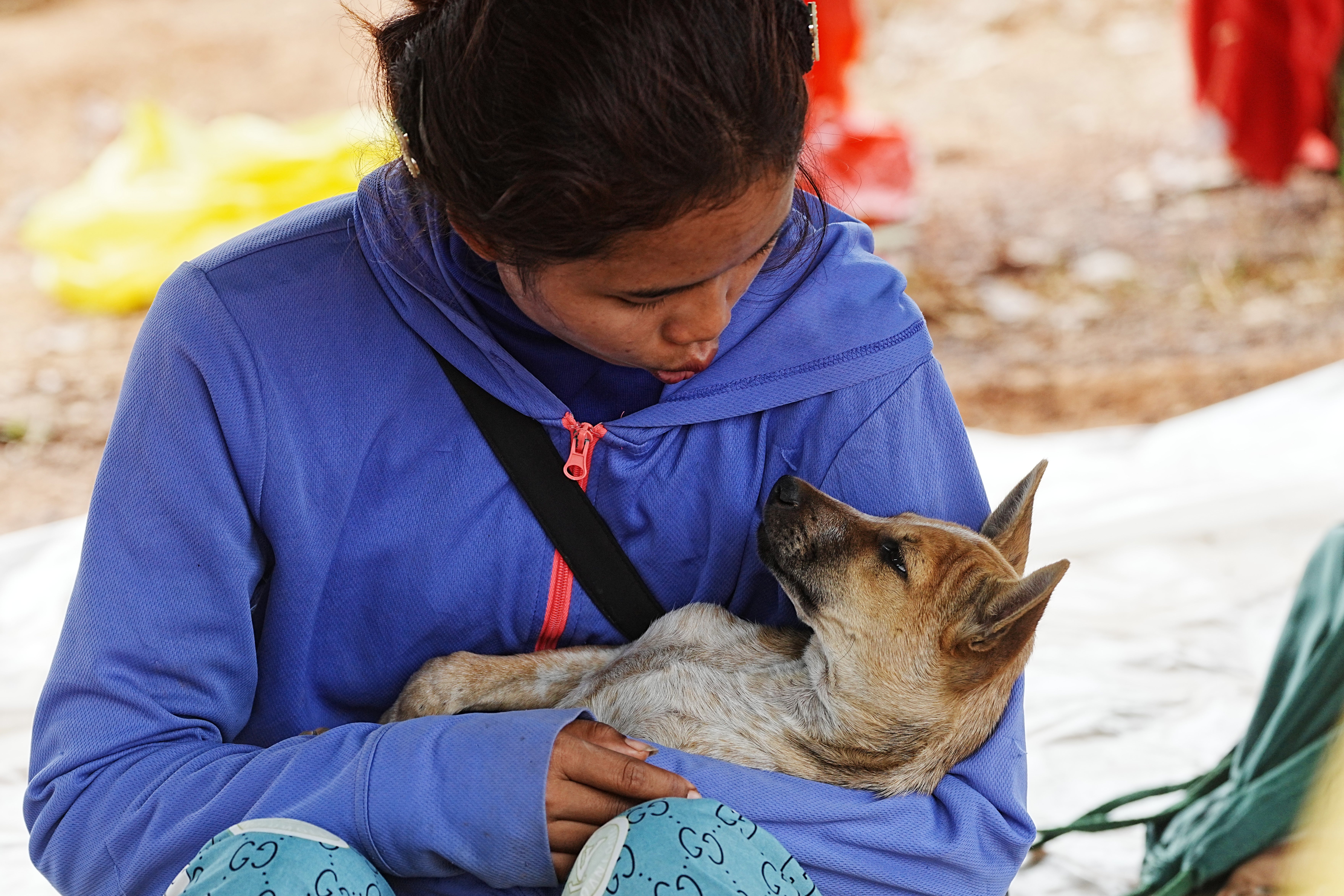 A woman plays with a dog as she takes refuge at Chonkal district in Oddar Meanchey province, Cambodia Thursday, 11 Dec 2025, after fleeing from home following a fighting between Thailand and Cambodia over territorial claims