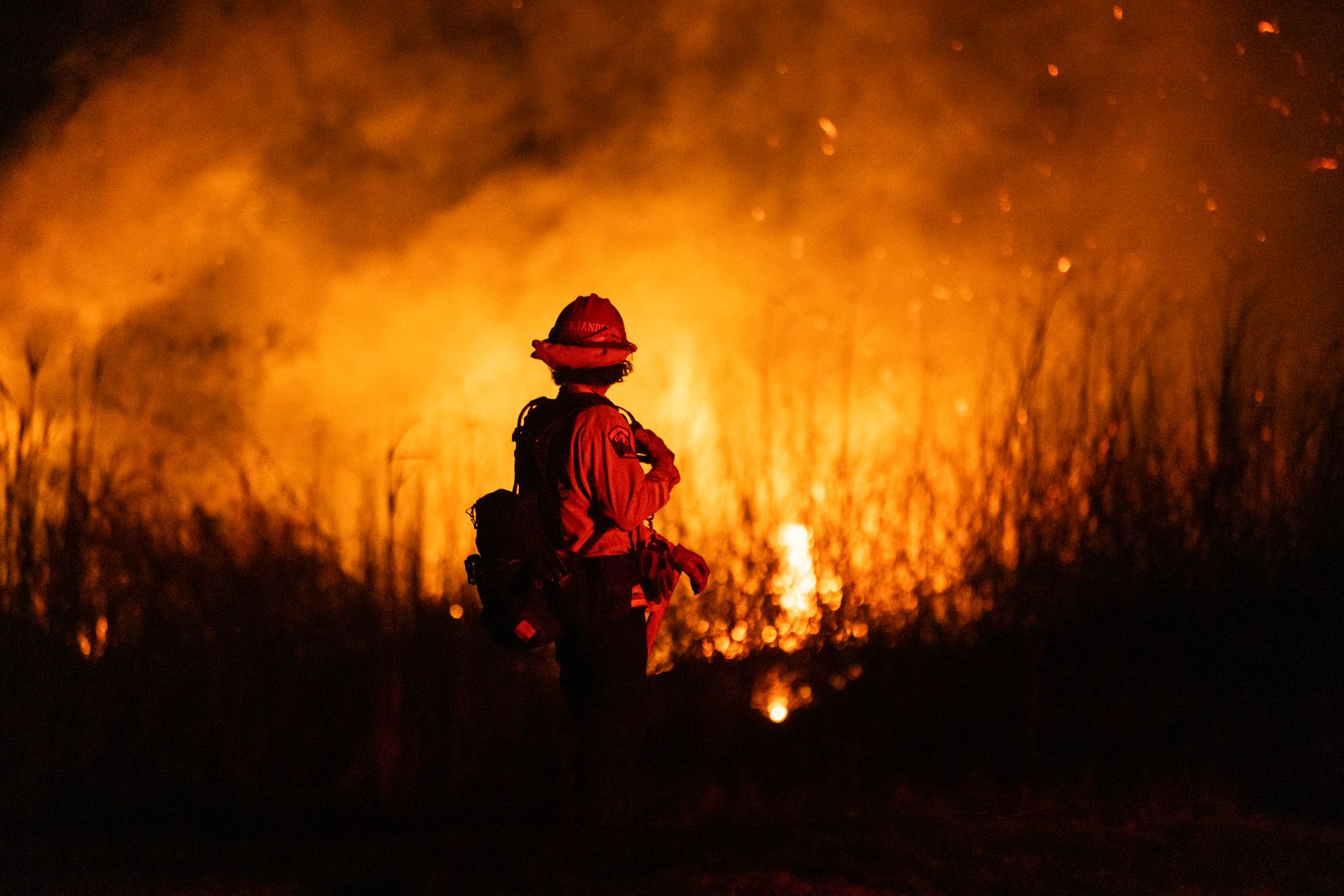 Wildfires in California wreaked widespread damage