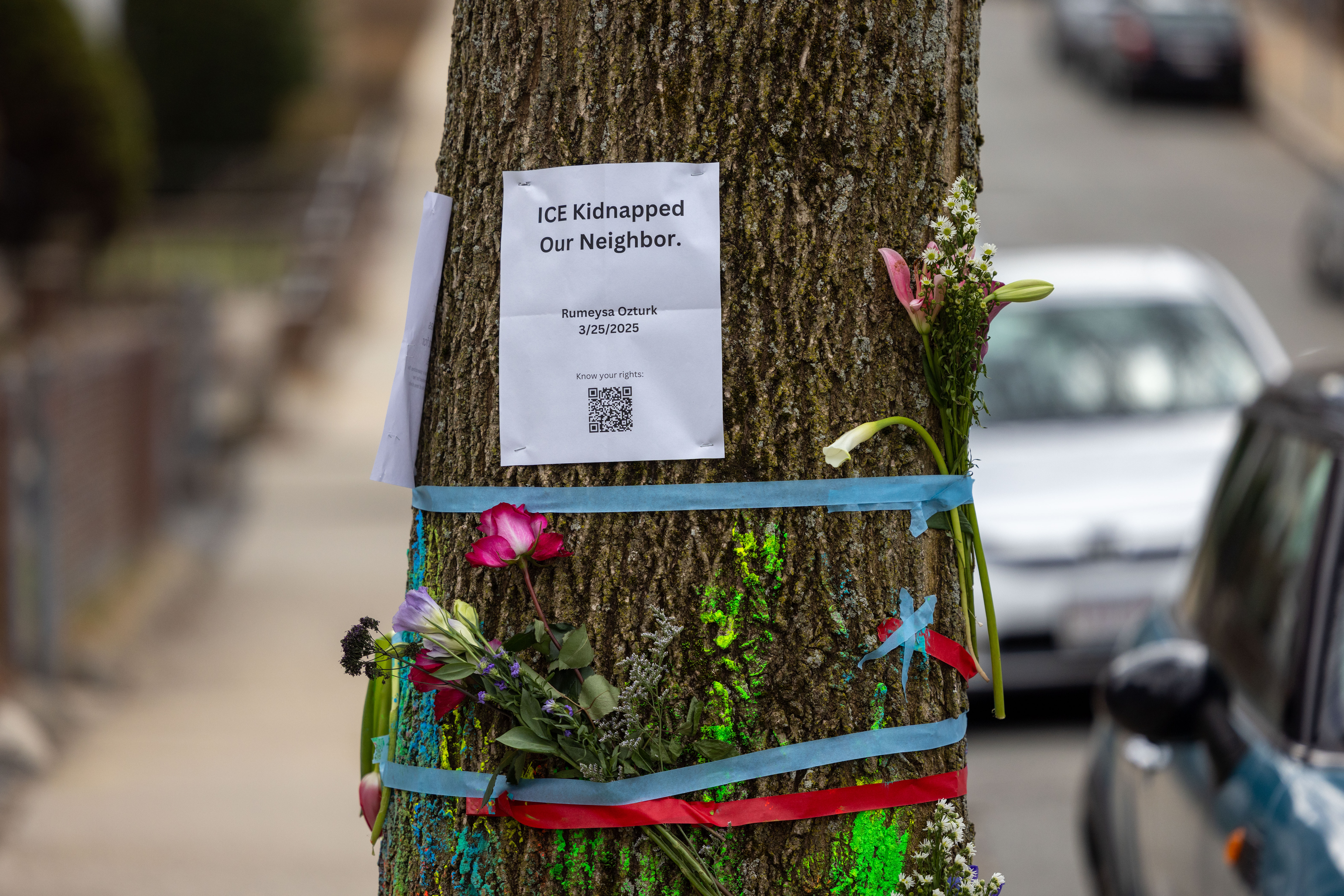 Signage and flowers were placed on a tree next to where ICE agents arrested Tuft student Rumeysa Ozturk on March 25 in Somerville, Massachusetts