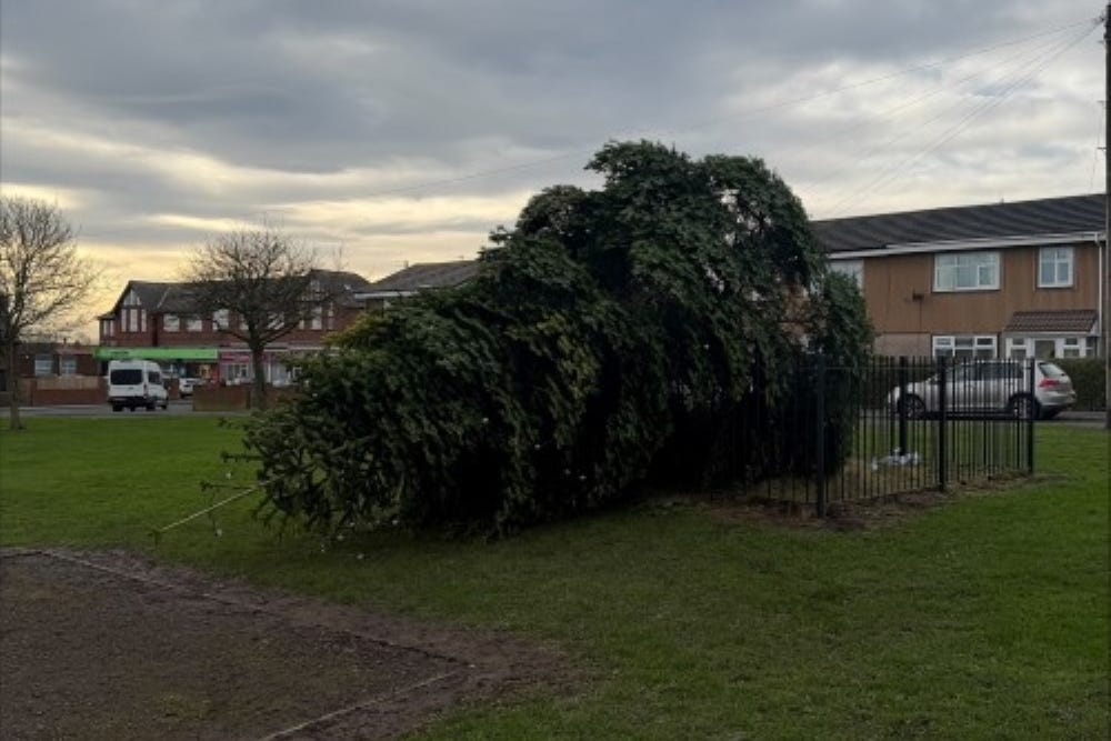 A Christmas tree in Shotton Colliery, County Durham, has been chopped down (Durham Police/PA)