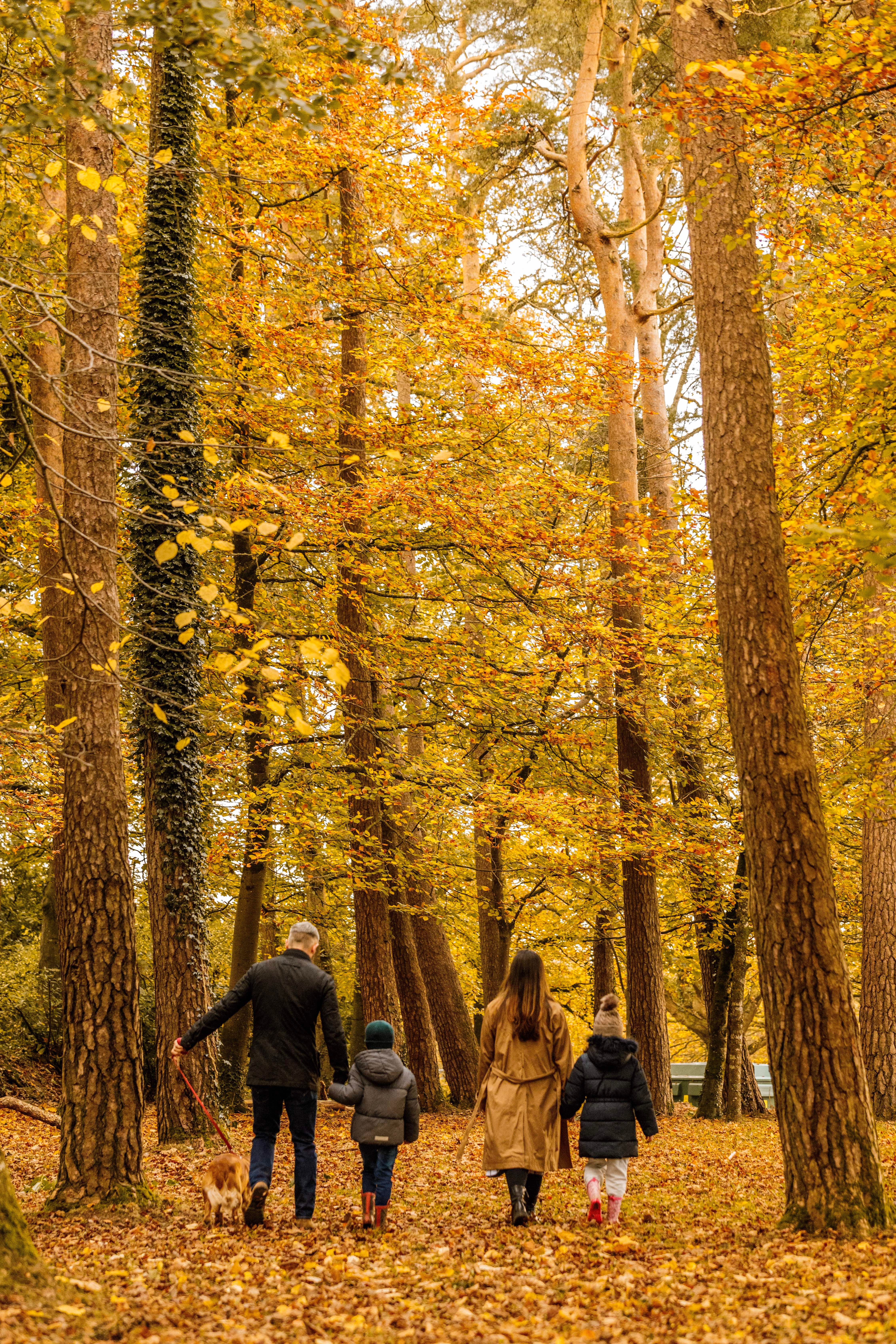 The 125-acre grounds of The Mole Resort are perfect for a family stroll
