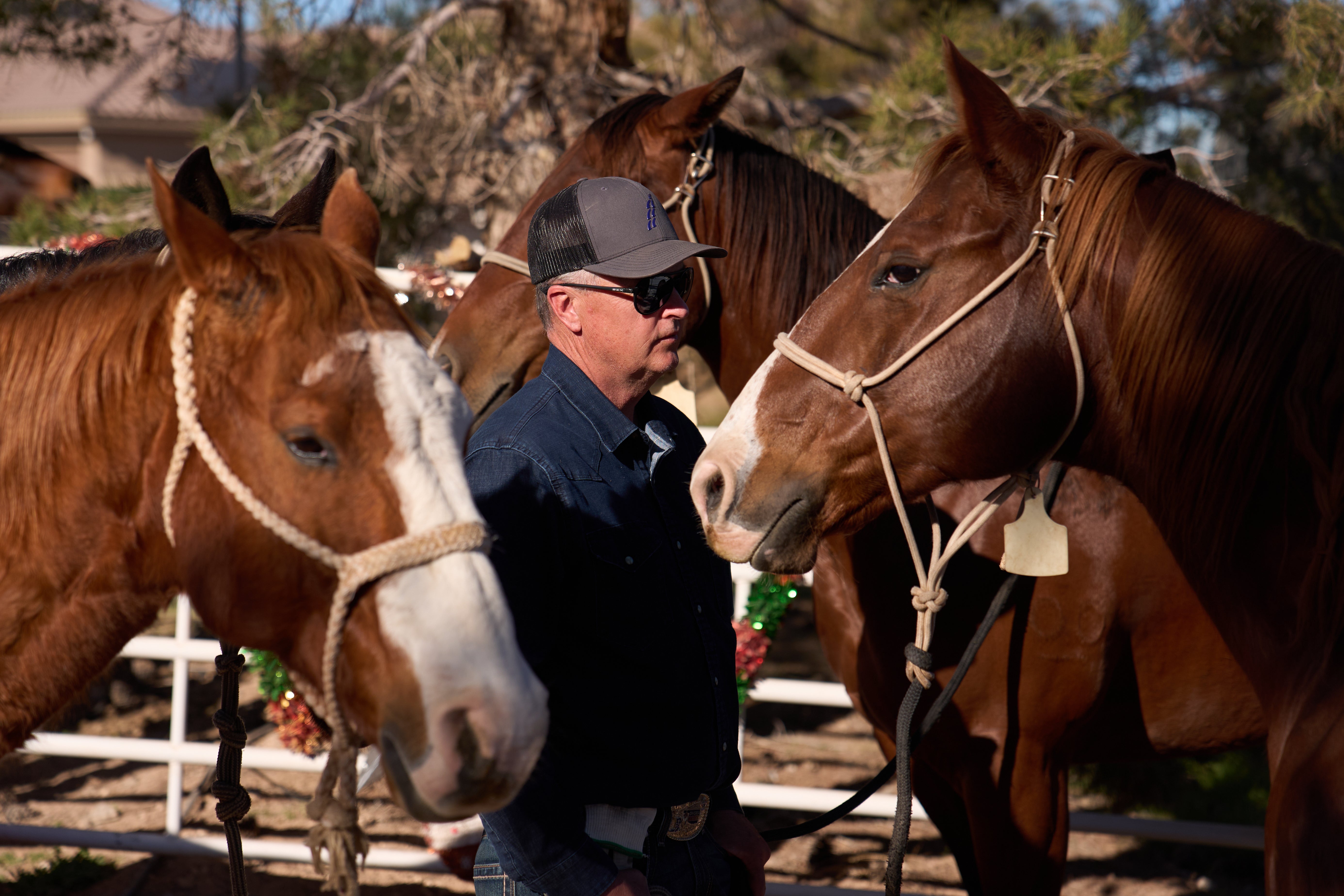 Jeff Todd holds horses before loading them up in a horse trailer at the Fly Again Ranch Horse Boarding and Hotel,Tuesday, Dec. 9, 2025, in Las Vegas