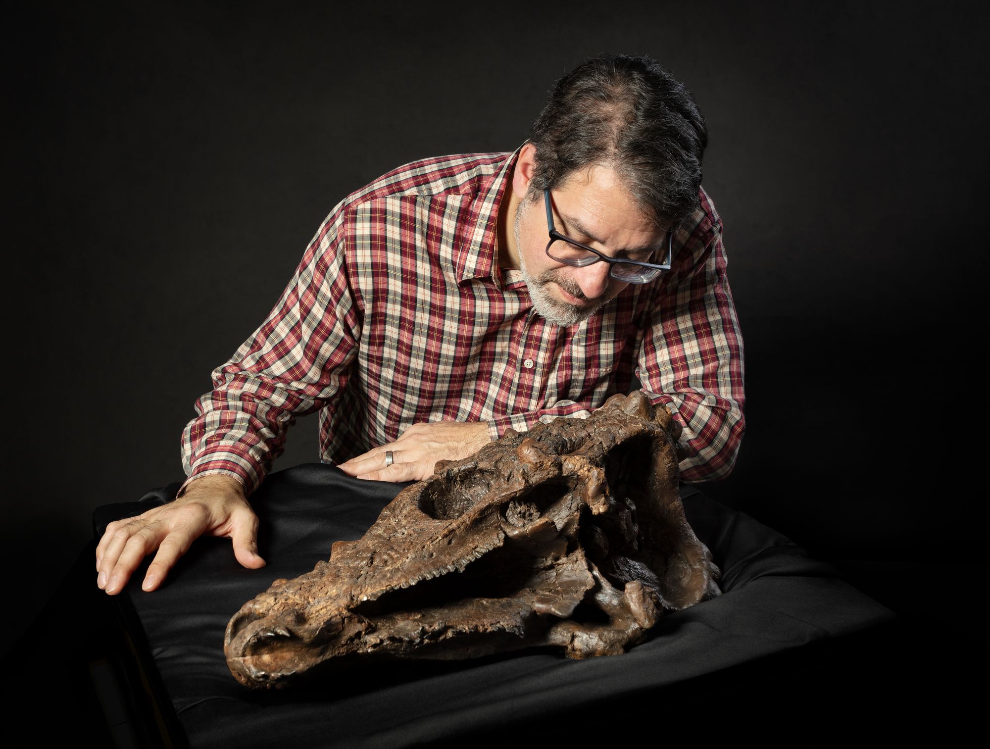 'This skull is by far the most spectacular specimen of this type of dinosaur that we have at the museum,' paleontologist Matthew Carrano, the museum’s curator of Dinosauria, said