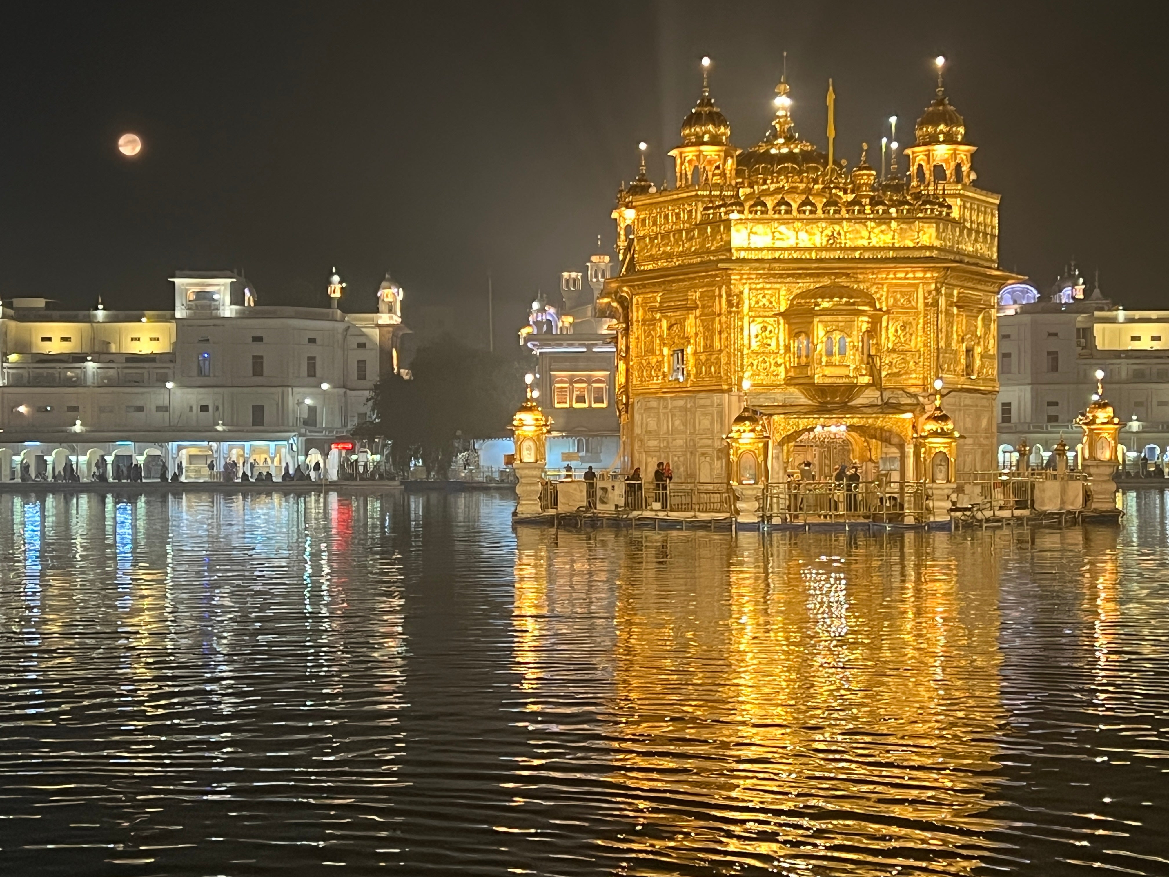 Guiding light: The Golden Temple in Amritsar, by moonlight