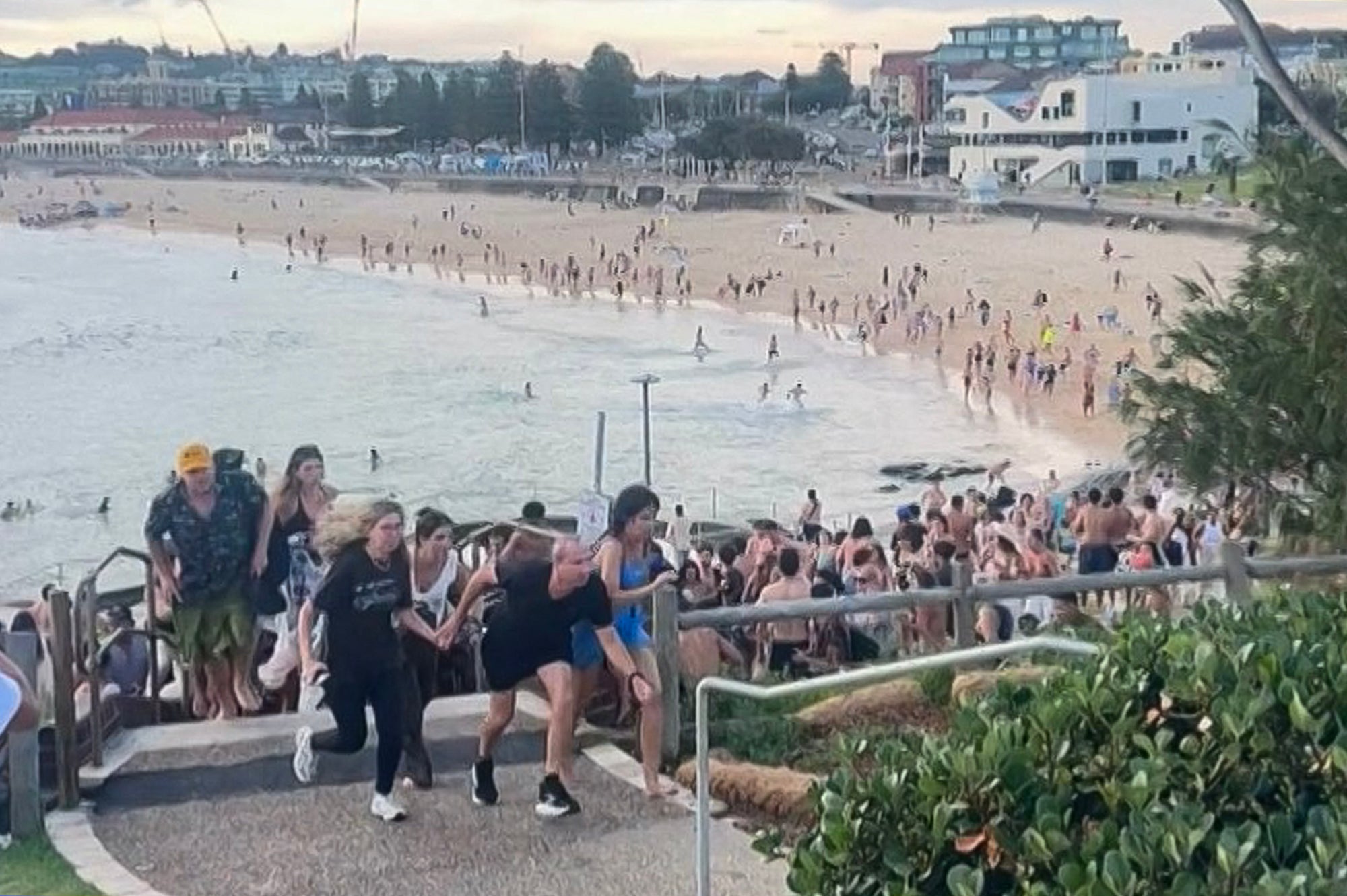 Beachgoers fled after hearing the pop of gunfire