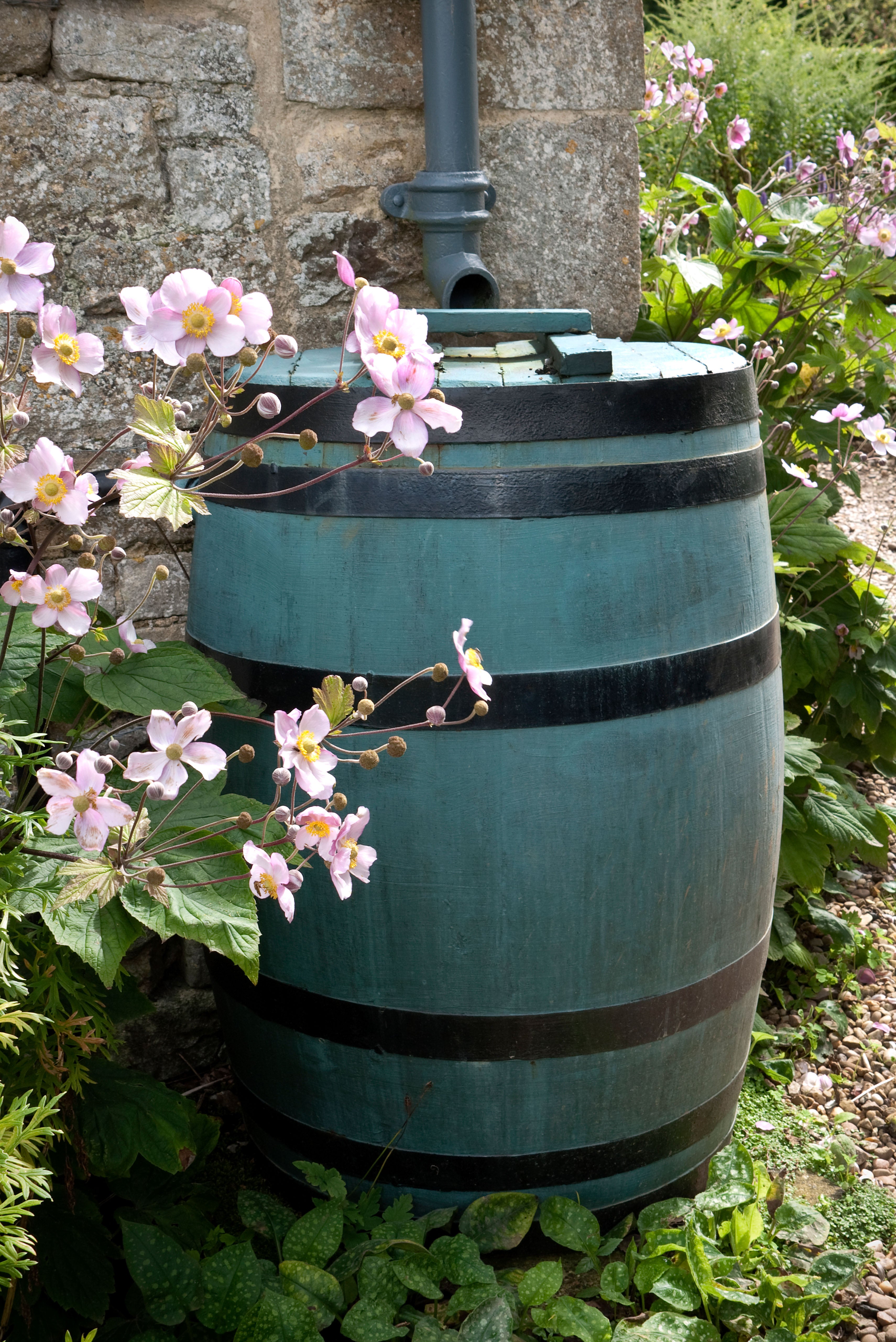 A traditional water butt. AI is likely to revolutionise the water butt in coming years
