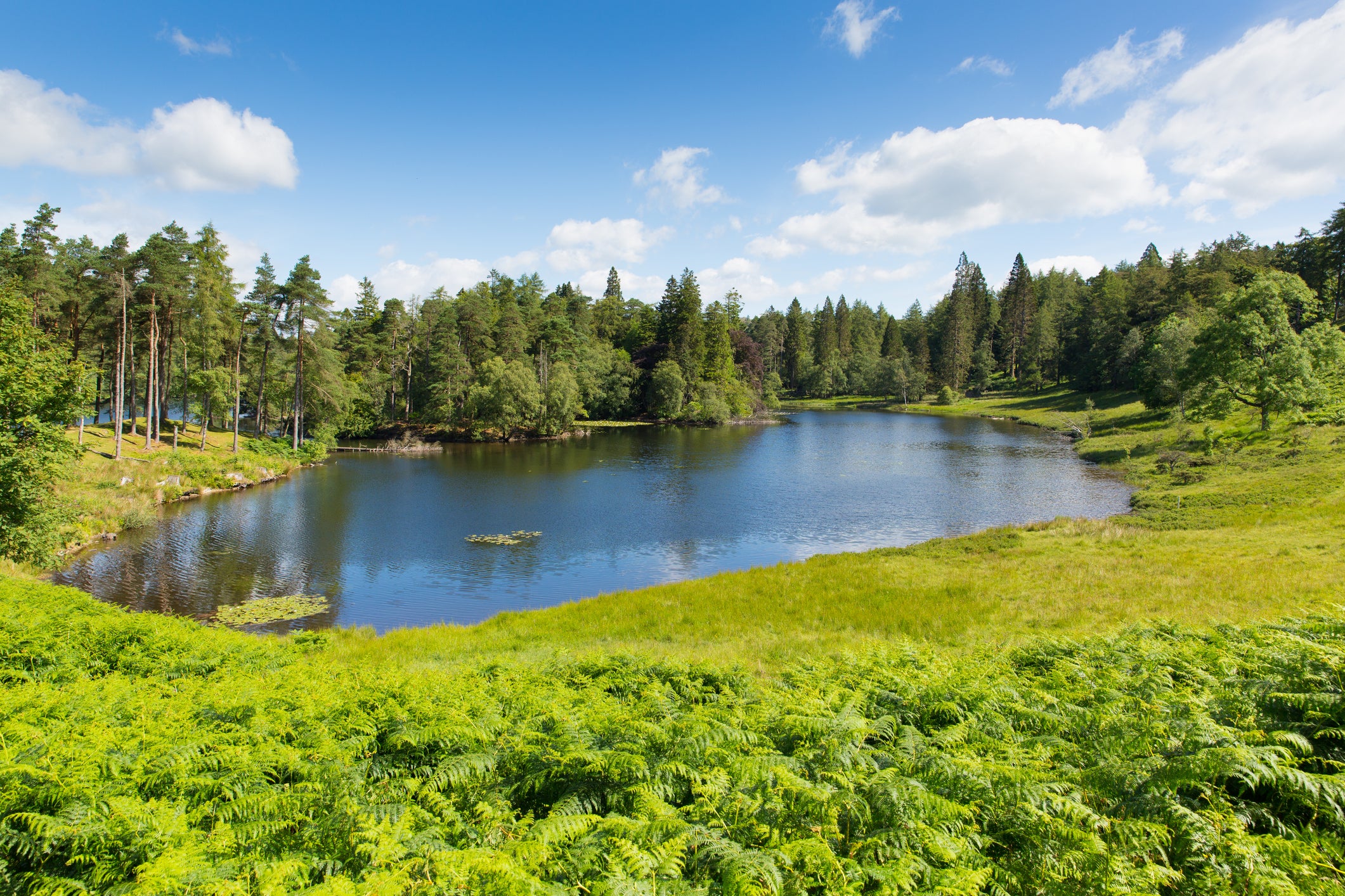Tarn Hows has one of the best-known accessible walks in the Lake District