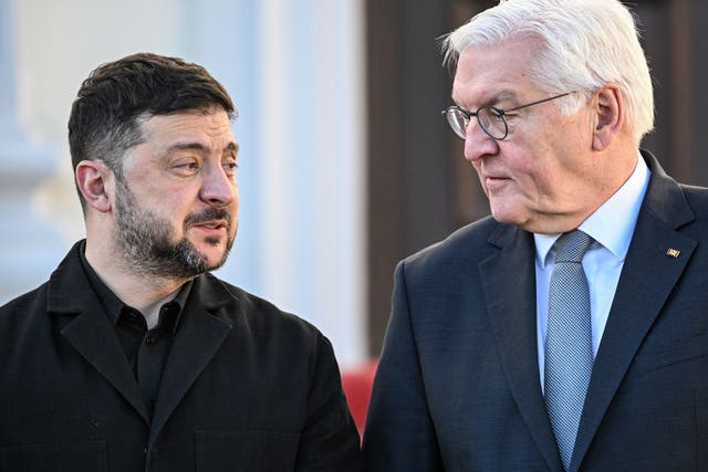 <p>German President Frank-Walter Steinmeier and Ukraine's President Volodymyr Zelensky </p>