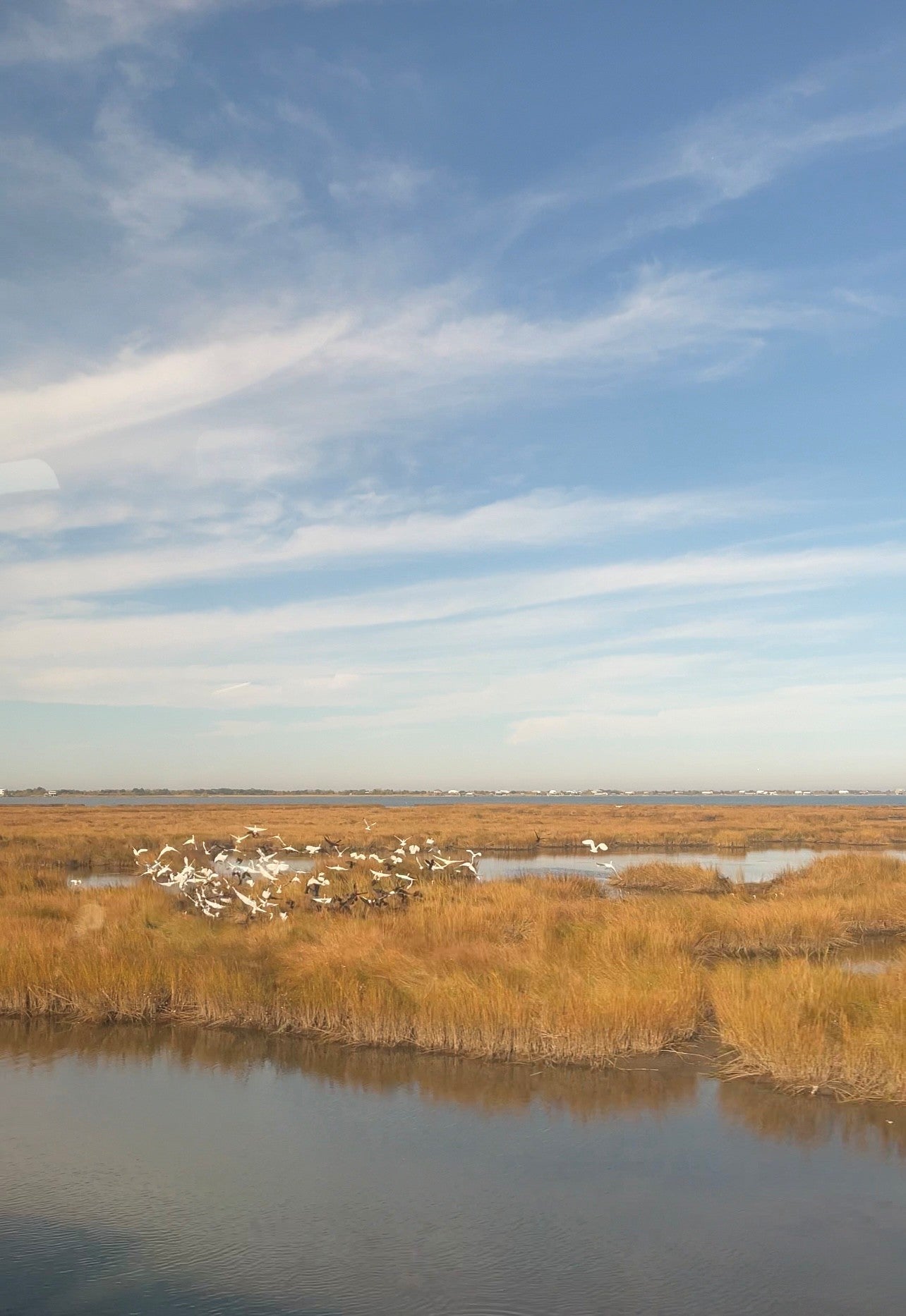 The view from the Amtrak train near New Orleans