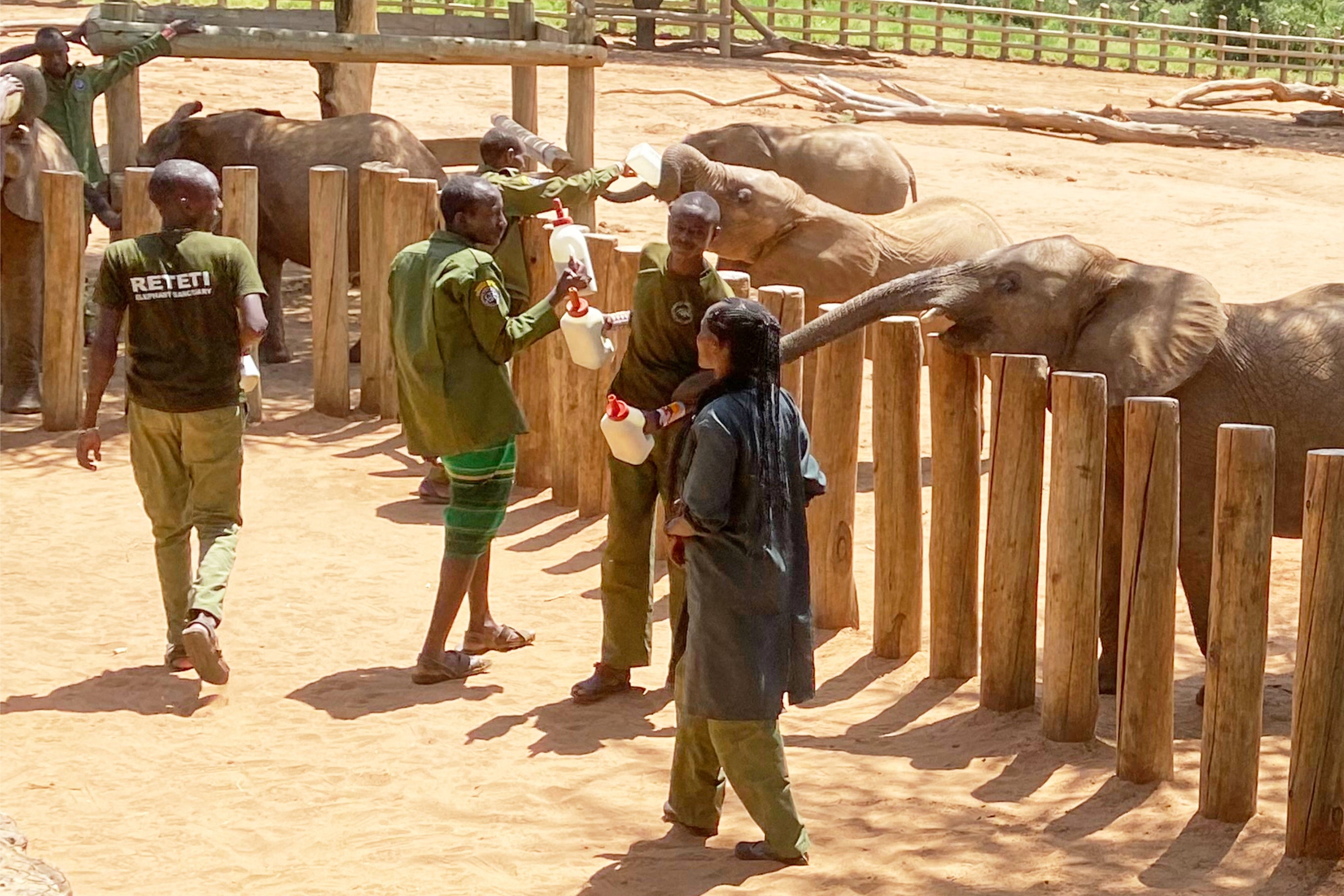 Travel-Kenya-Safari with a Purpose