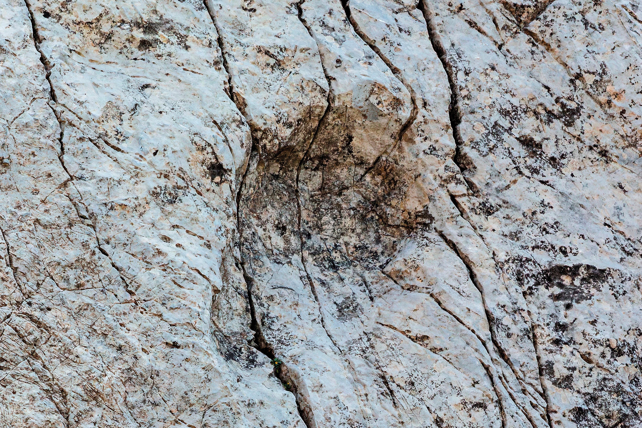 A late Triassic prosauropod footprint discovered in the Fraele Valley in northern Italy.