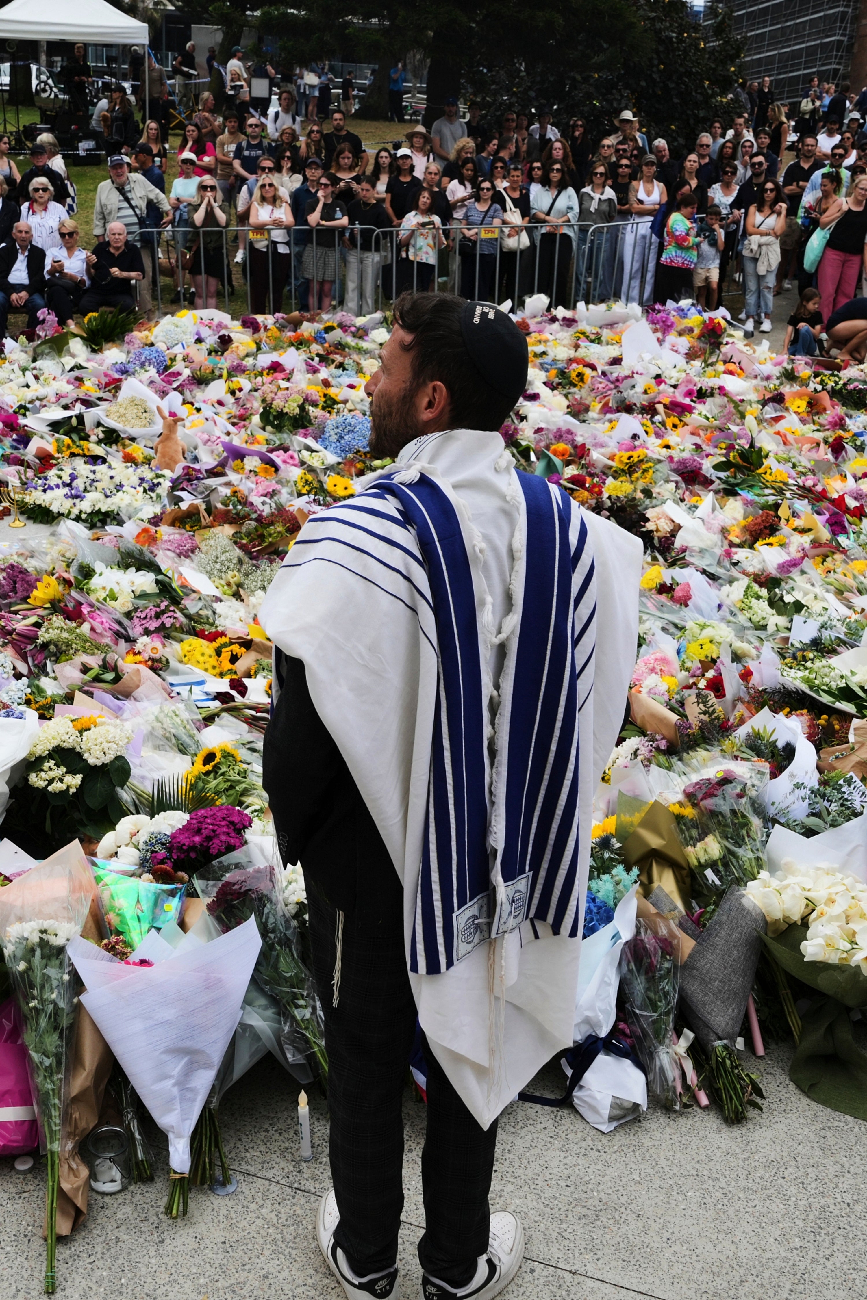 Top Vertical Photos Photo Gallery