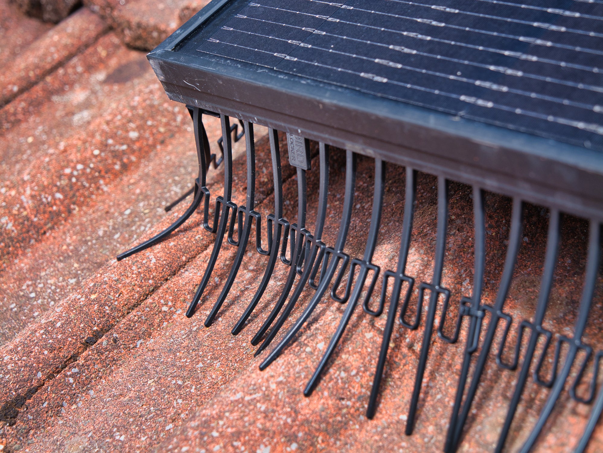 <p>Quality mesh bird-proofing systems can last up to 10 years</p>