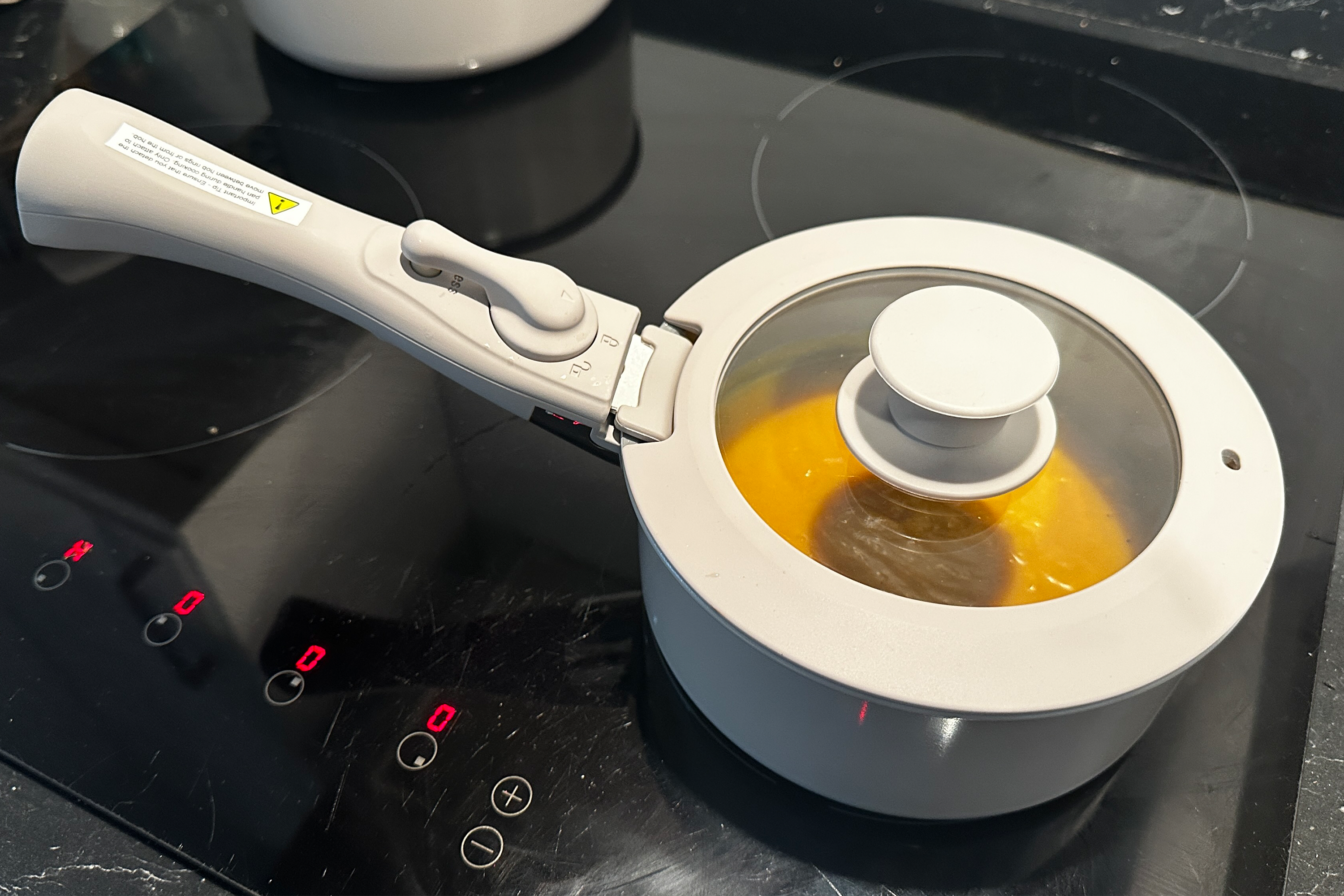 I cooked up a variety of dishes in each pan